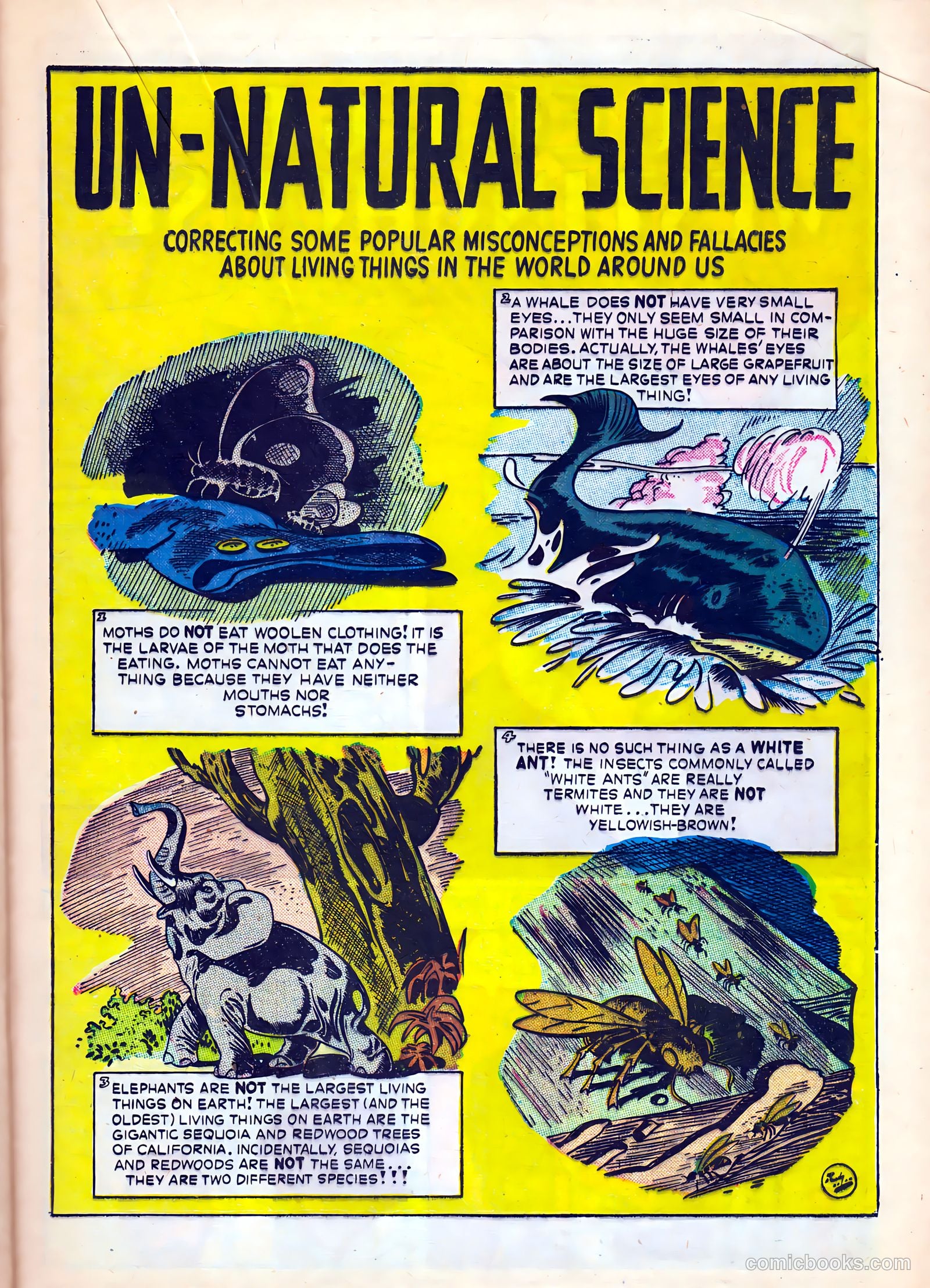 Science Comics #5 (1946) — page 33 of 52