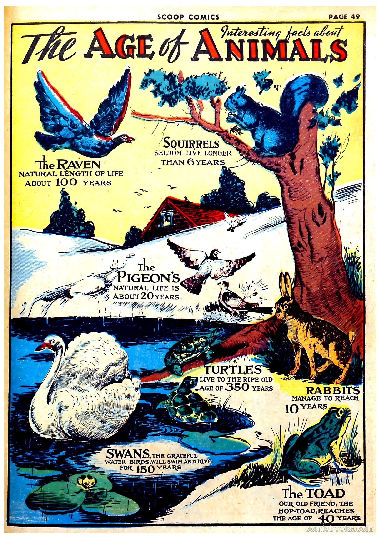 Scoop Comics #1 (1941) — page 51 of 68