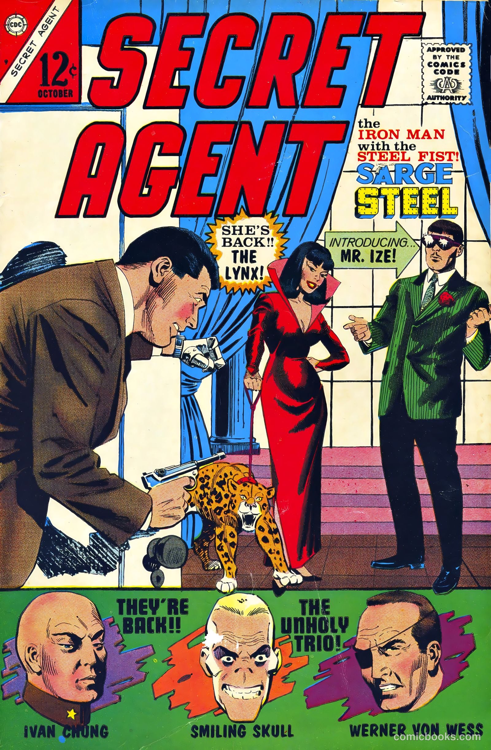 Secret Agent #9