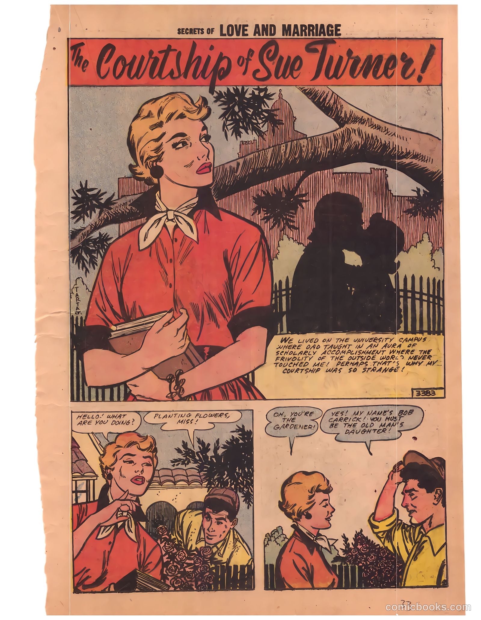 Secrets of Love and Marriage #8 (1958) — page 33 of 68