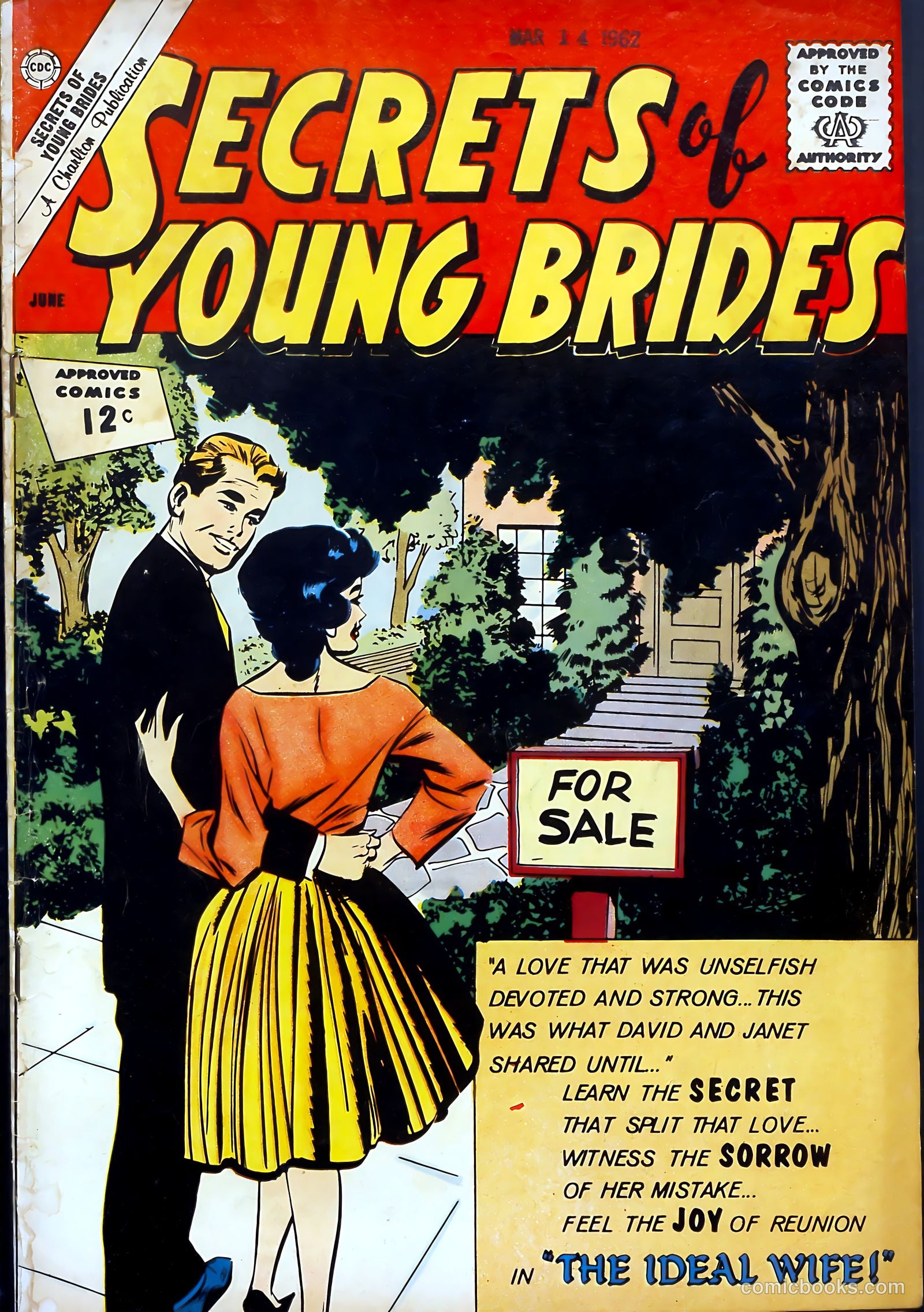 Secrets of Young Brides #31