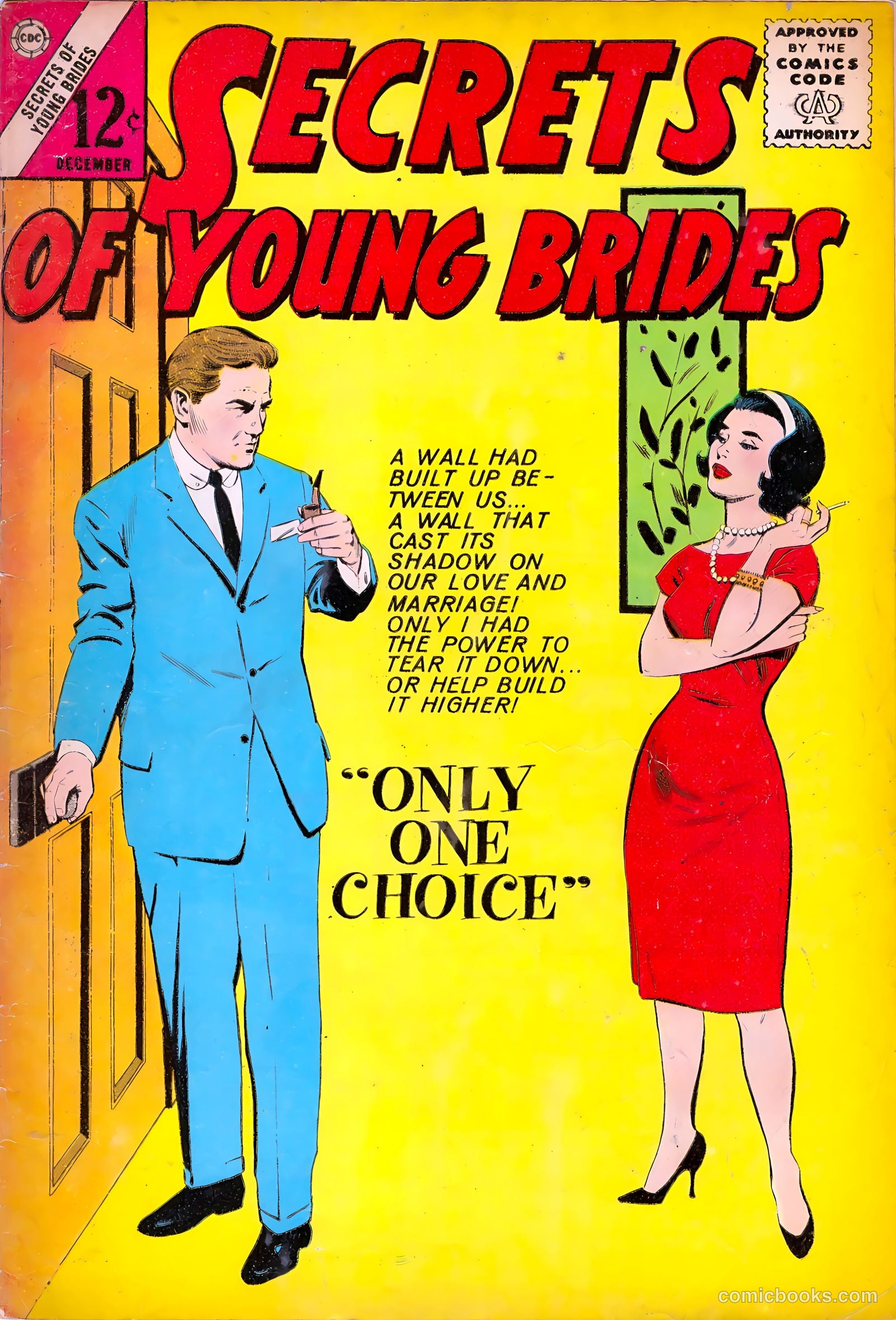 Secrets of Young Brides #40