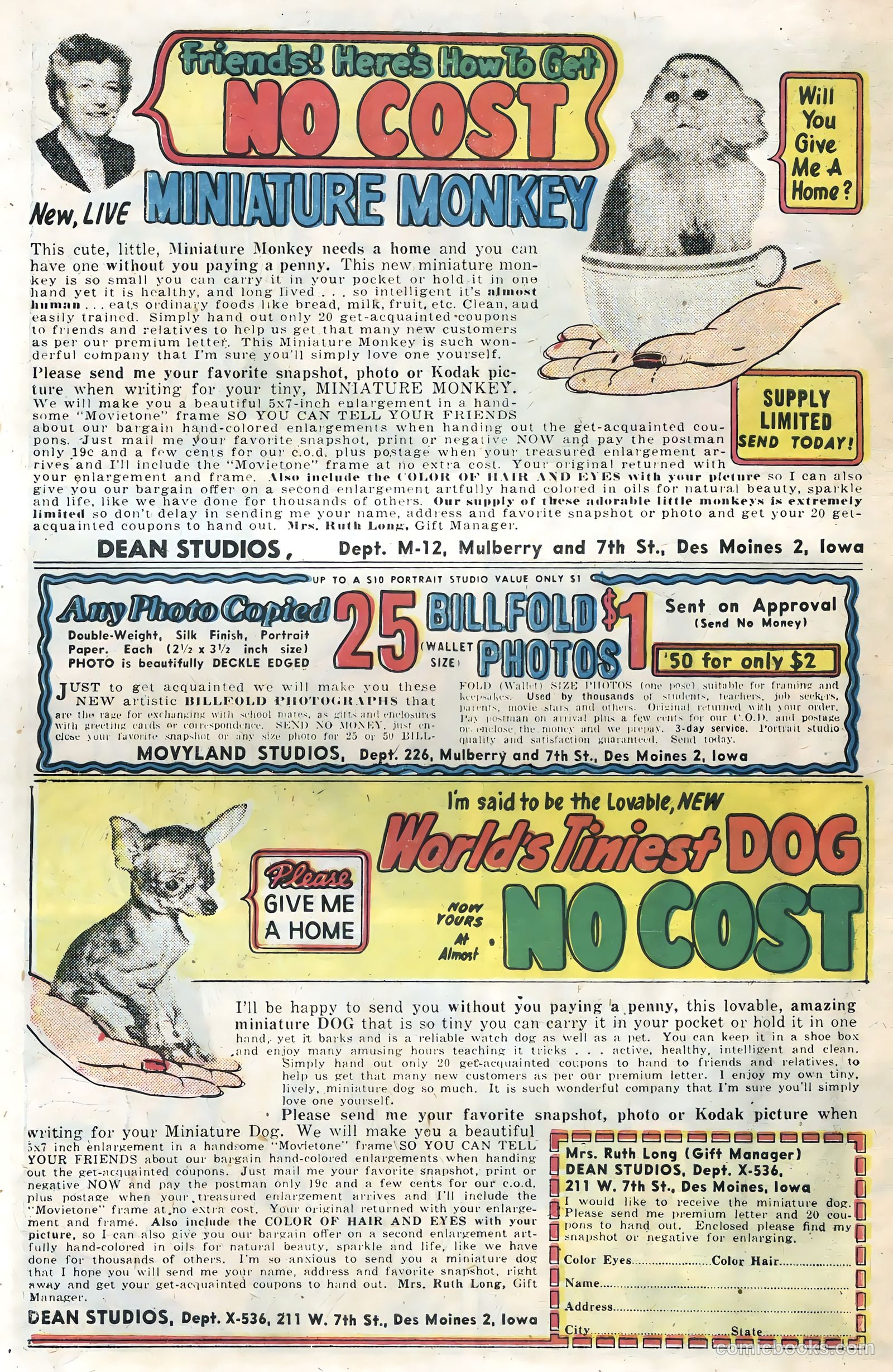 Secrets of Young Brides #7 (1958) — page 34 of 36