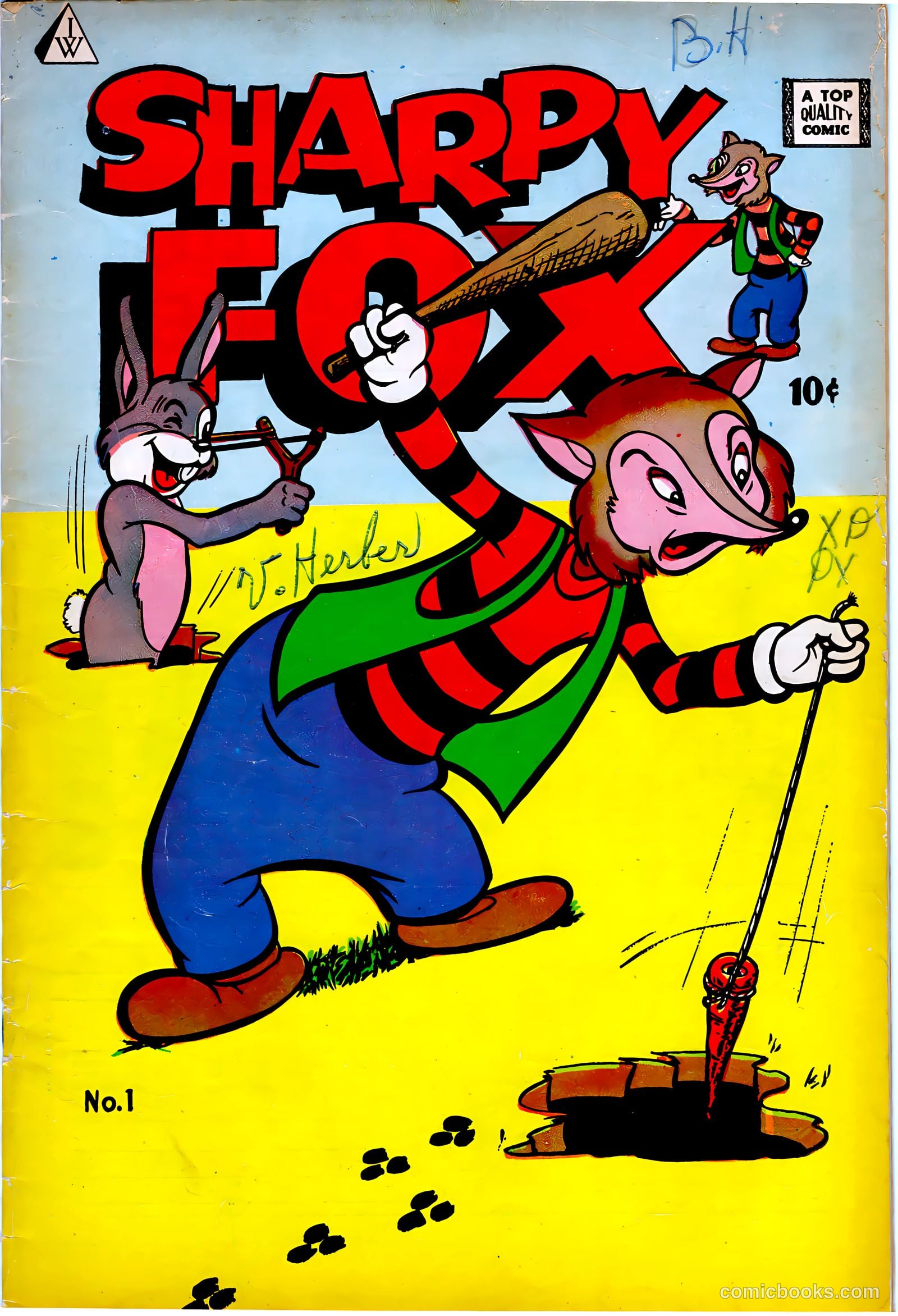 Sharpy Fox #1