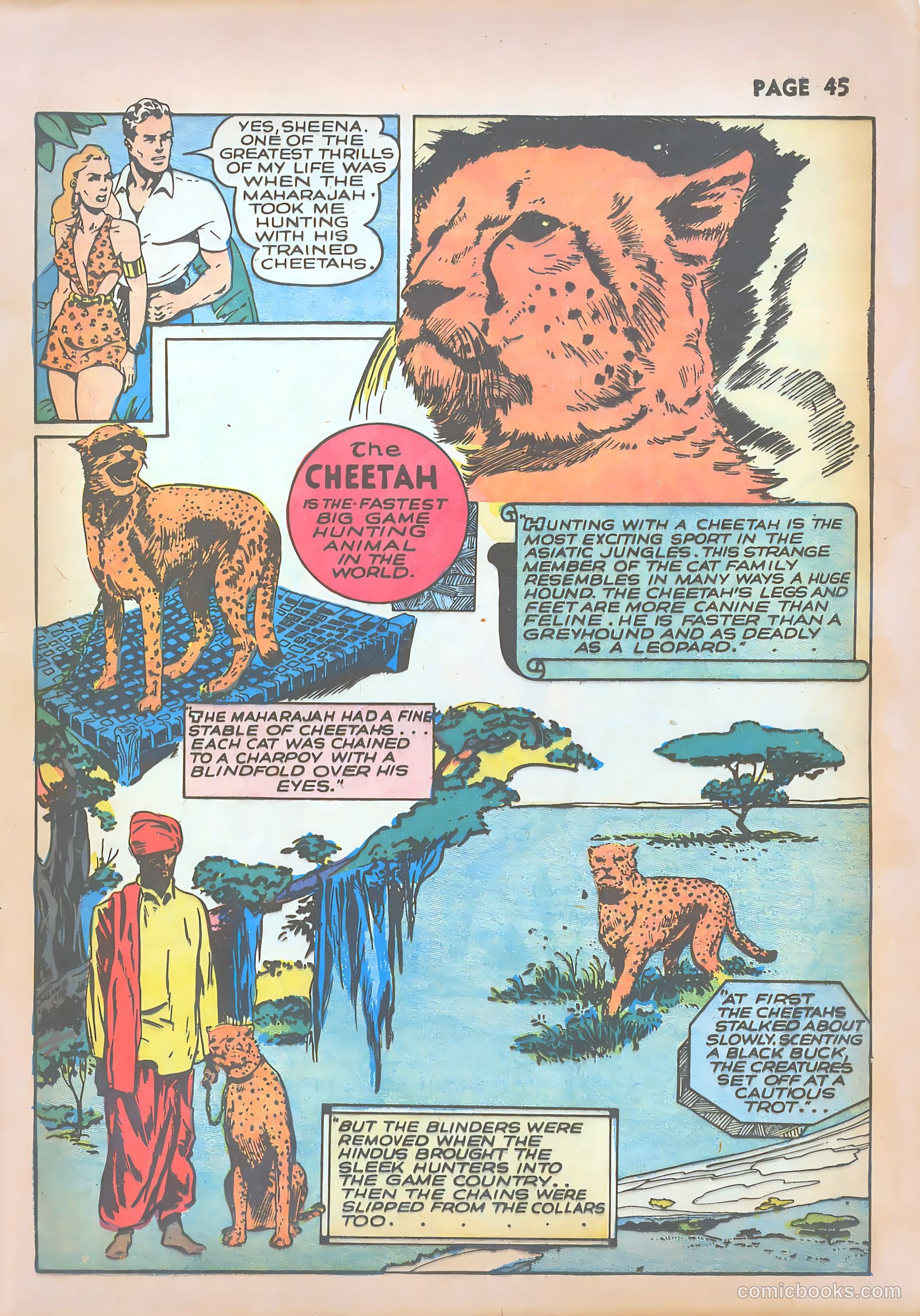 Sheena, Queen of the Jungle #1 (1942) — page 47 of 68