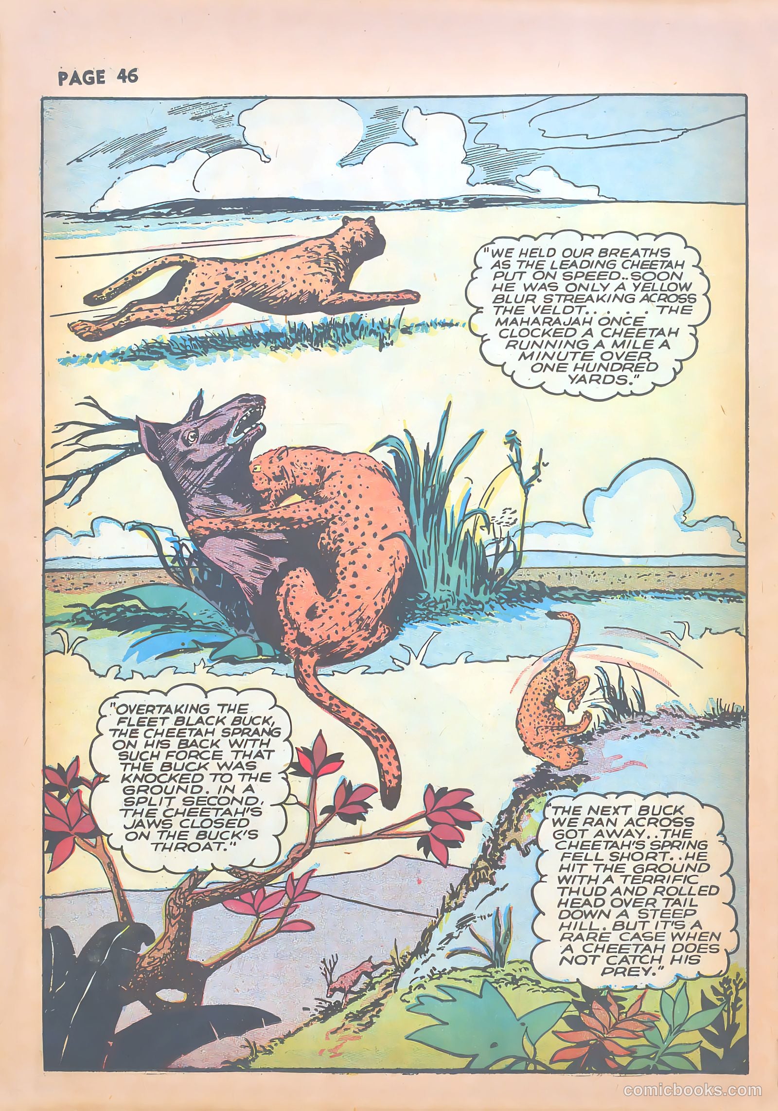 Sheena, Queen of the Jungle #1 (1942) — page 48 of 68