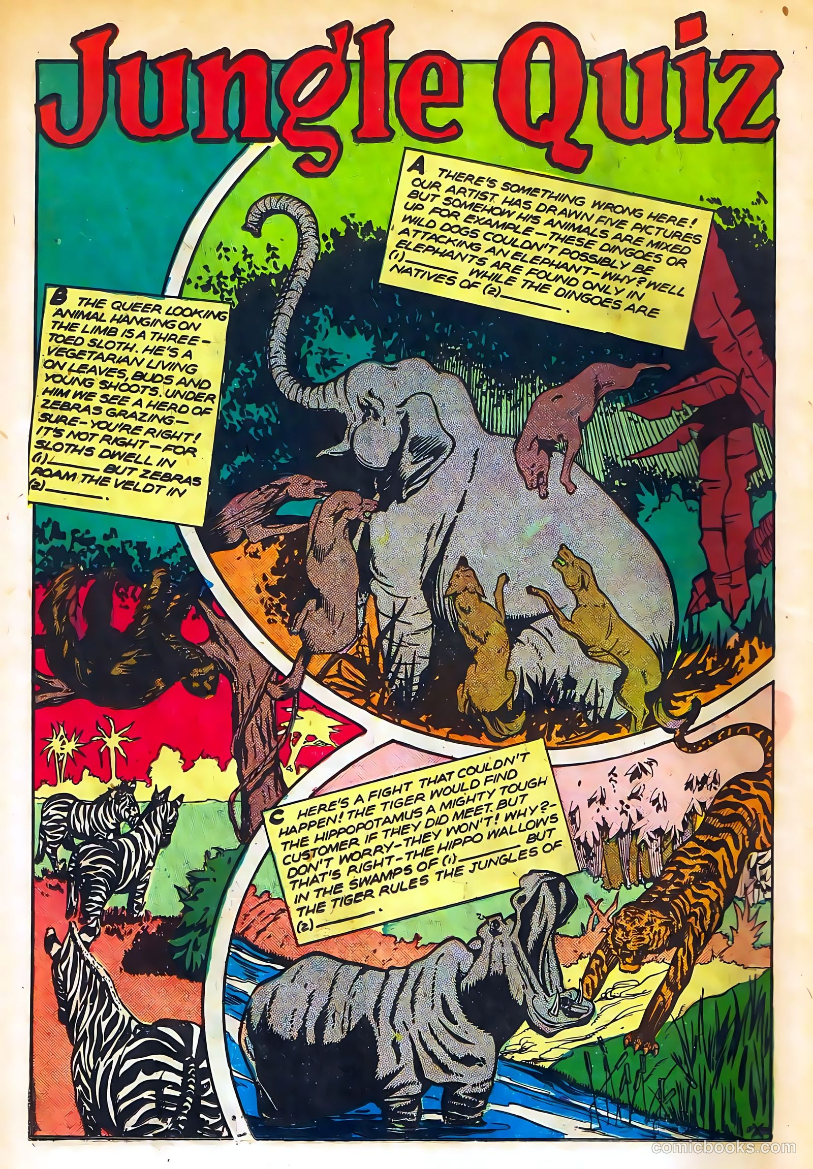 Sheena, Queen of the Jungle #11 (1951) — page 14 of 36