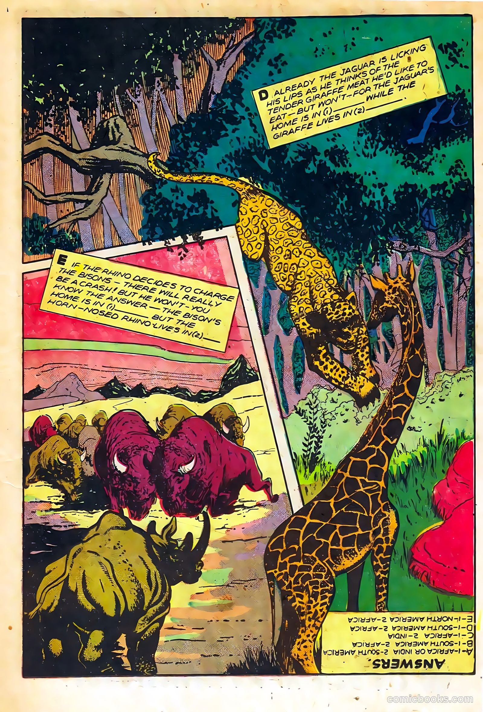 Sheena, Queen of the Jungle #11 (1951) — page 15 of 36