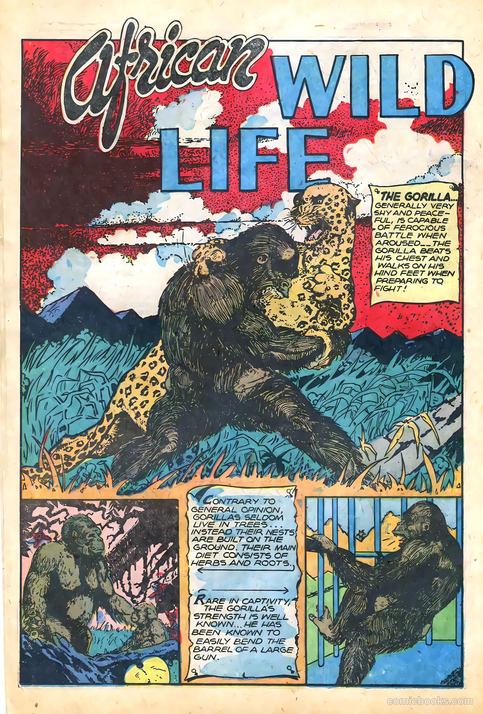 Sheena, Queen of the Jungle #12 (1951) — page 14 of 36