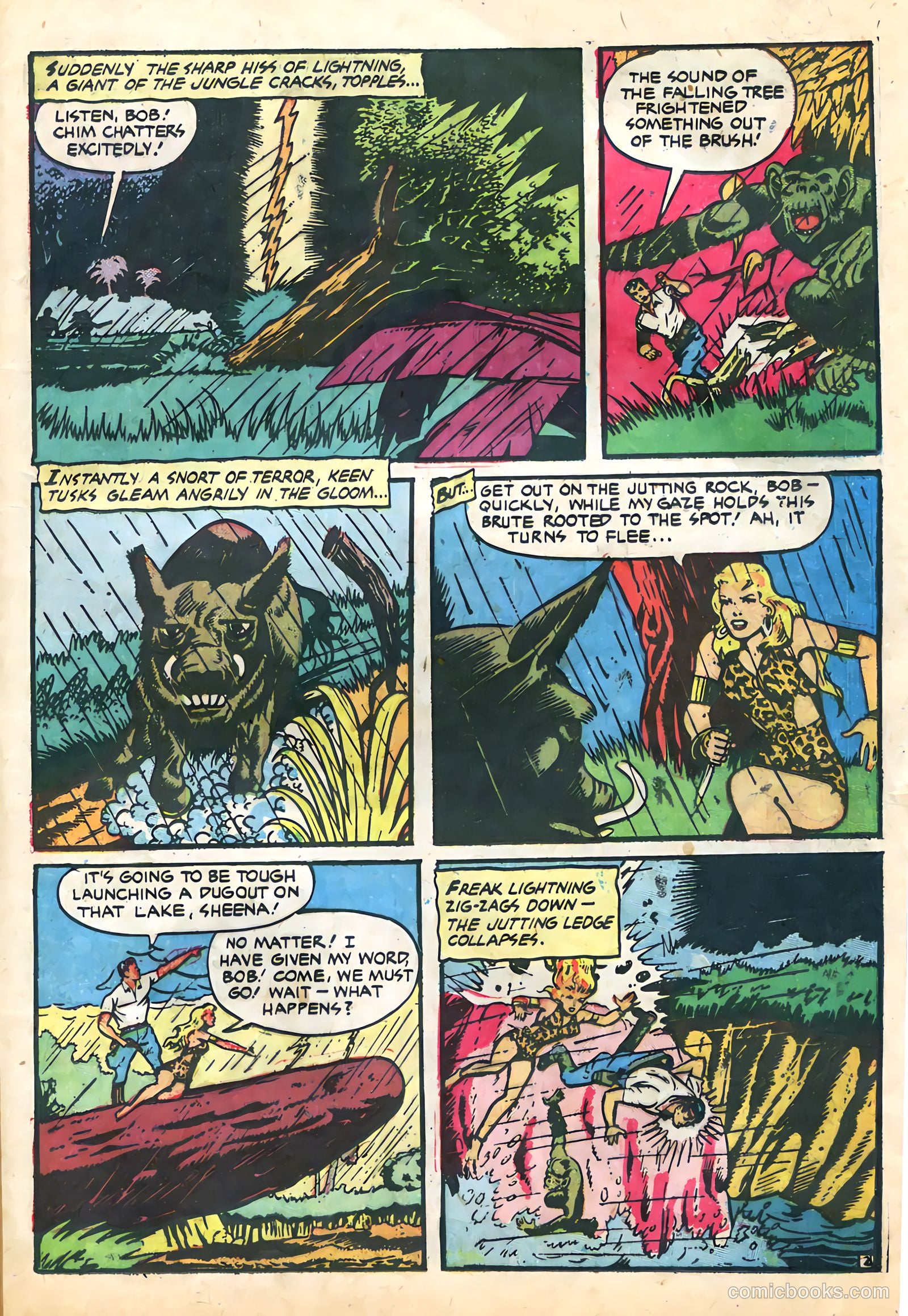 Sheena, Queen of the Jungle #12 (1951) — page 21 of 36