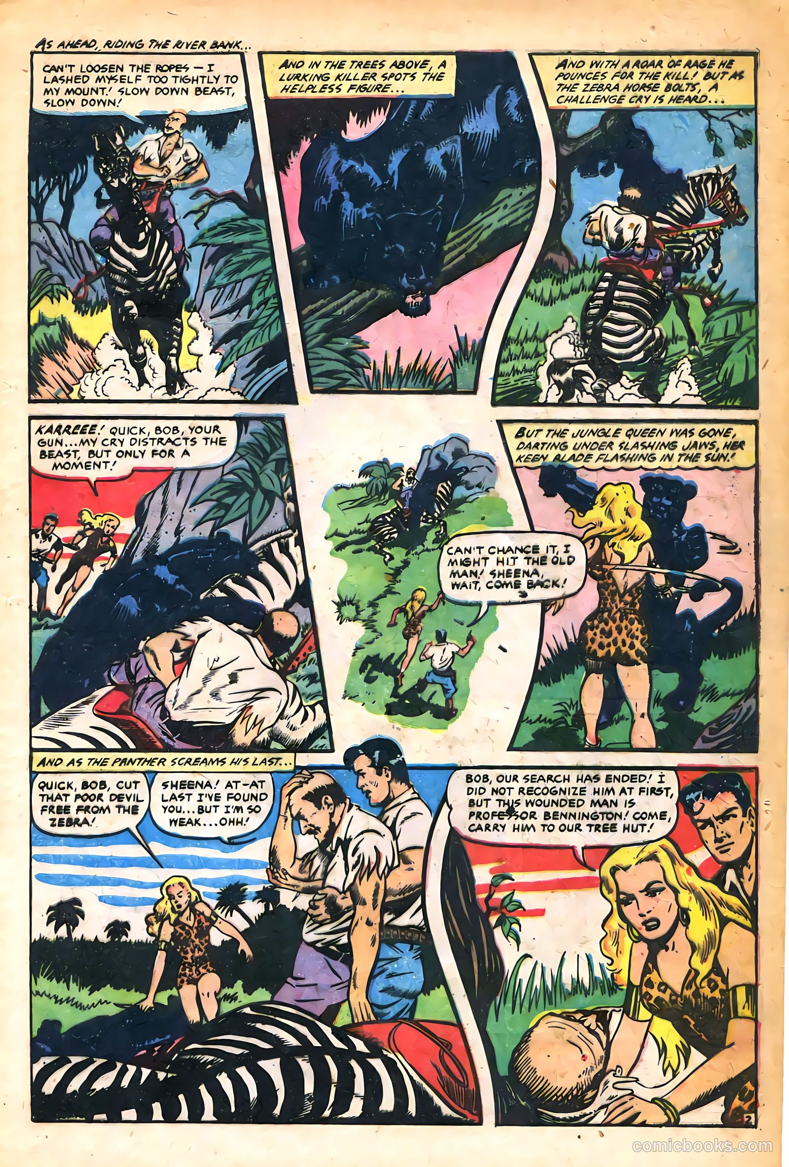 Sheena, Queen of the Jungle #14 (1951) — page 5 of 36