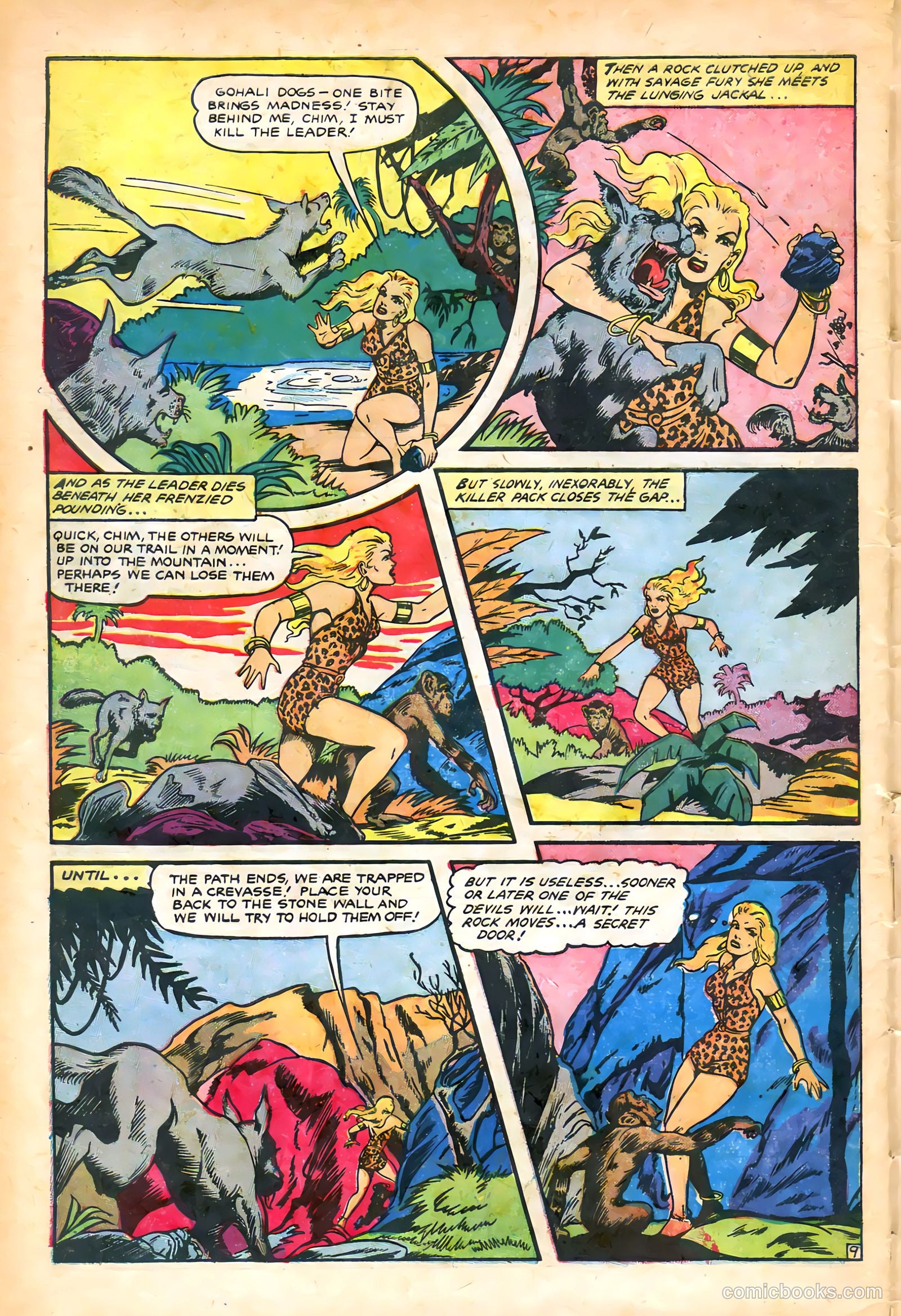 Sheena, Queen of the Jungle #14 (1951) — page 30 of 36