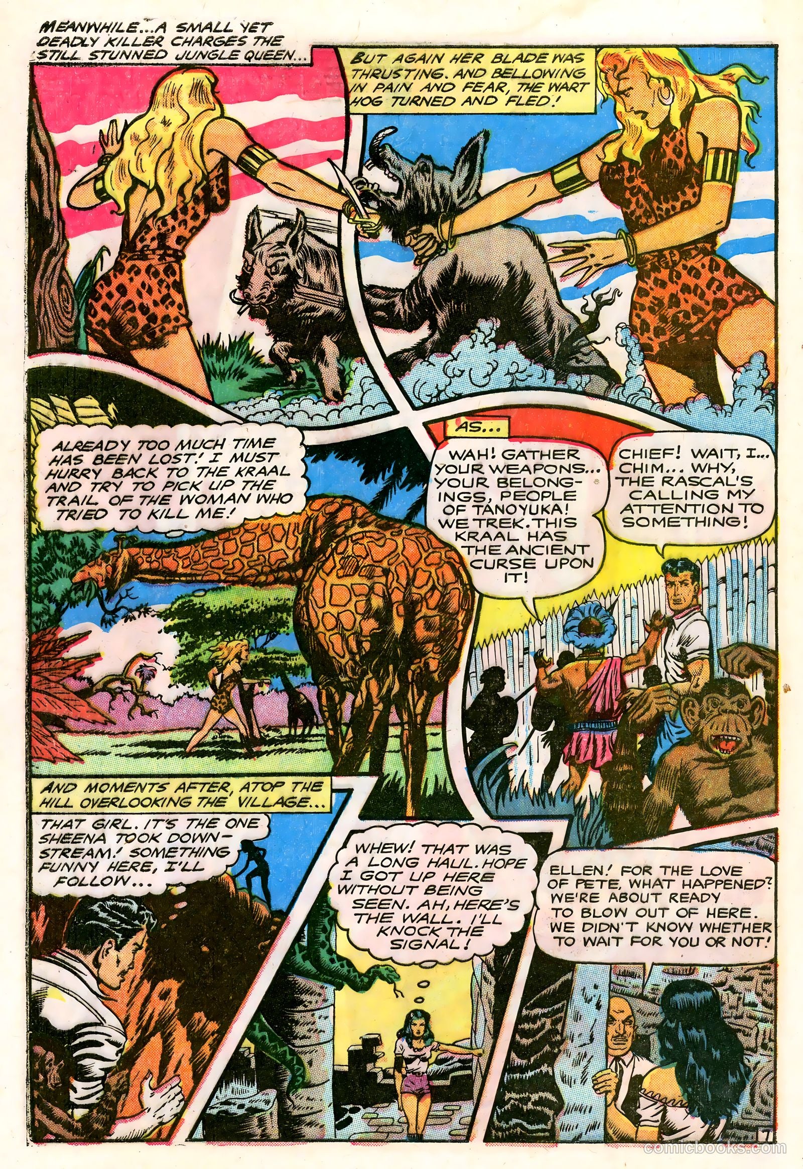 Sheena, Queen of the Jungle #15 (1952) — page 29 of 37