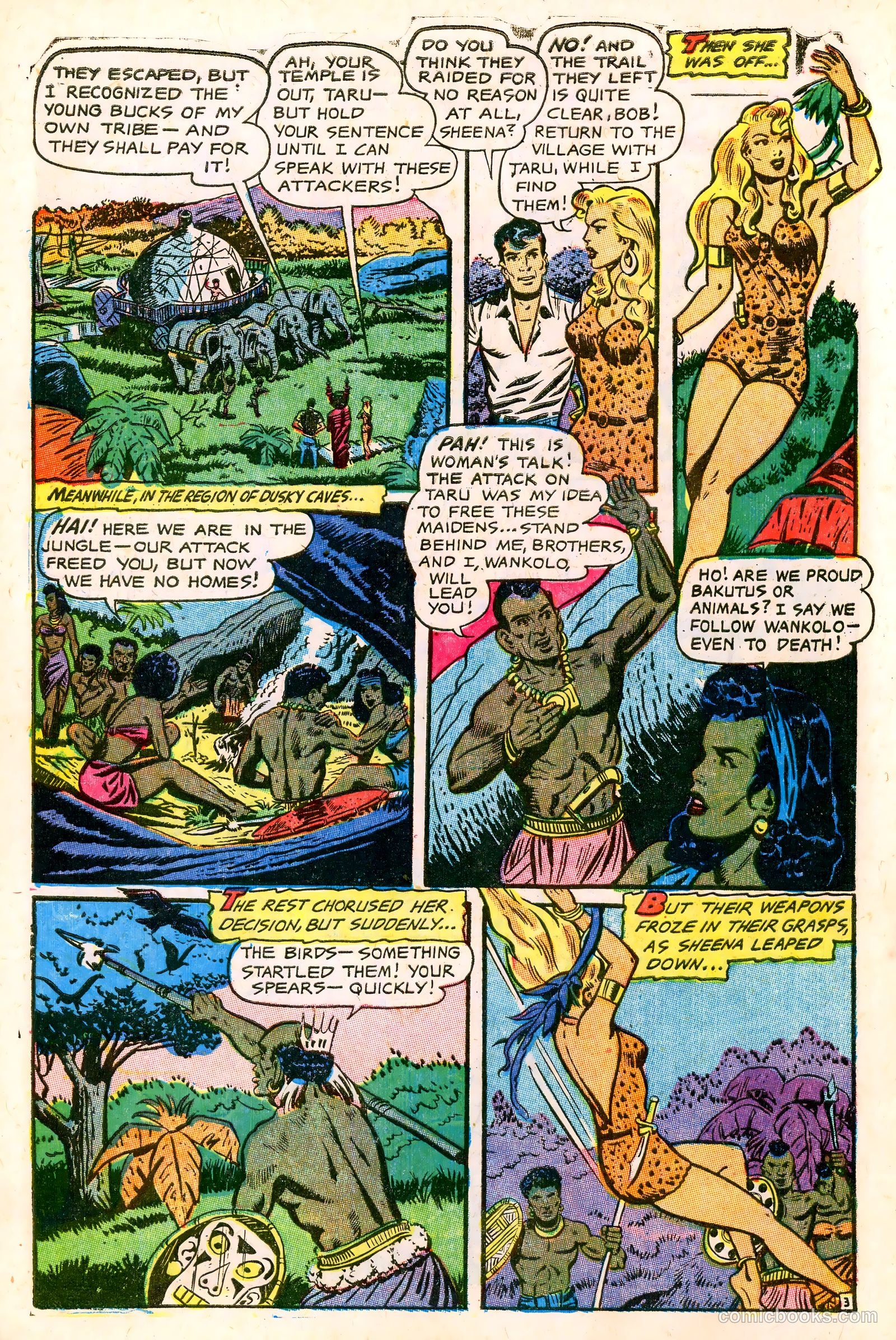 Sheena, Queen of the Jungle #17 (1952) — page 31 of 36