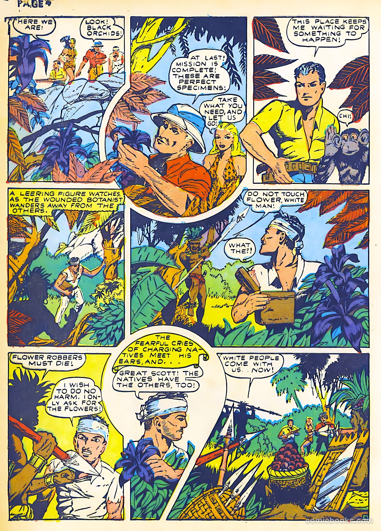 Sheena, Queen of the Jungle #2 (1942) — page 6 of 68
