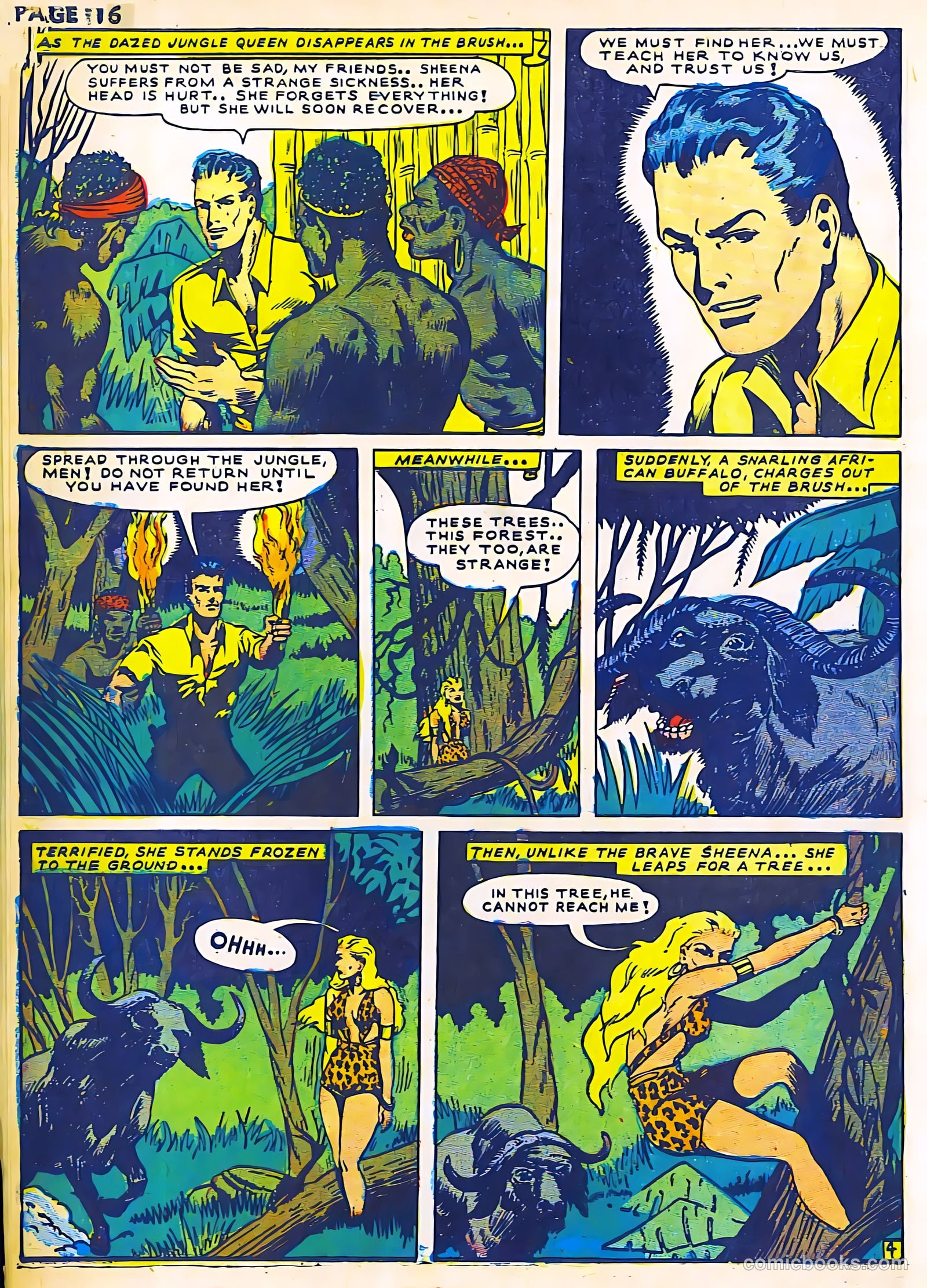 Sheena, Queen of the Jungle #2 (1942) — page 18 of 68