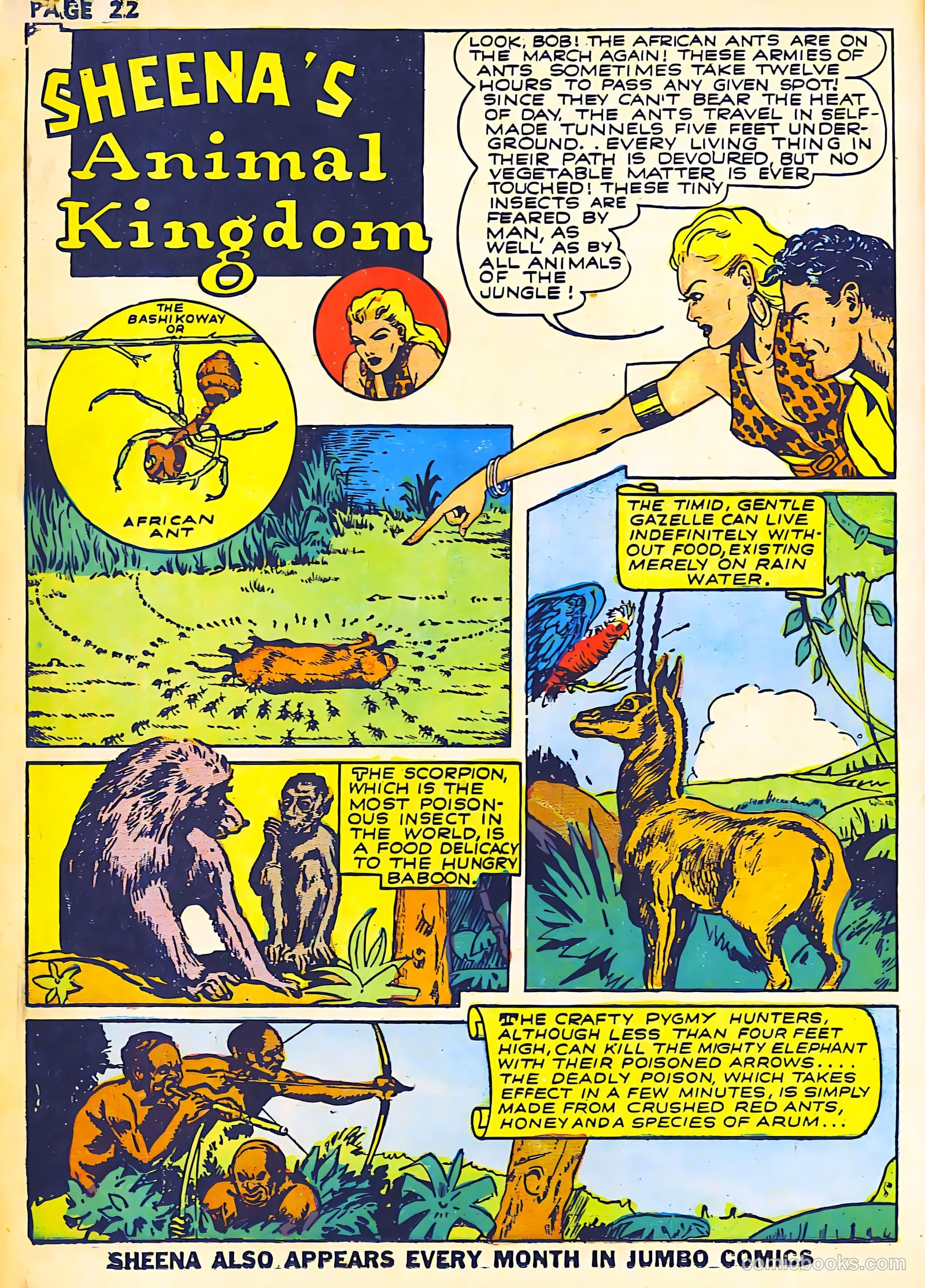 Sheena, Queen of the Jungle #2 (1942) — page 24 of 68