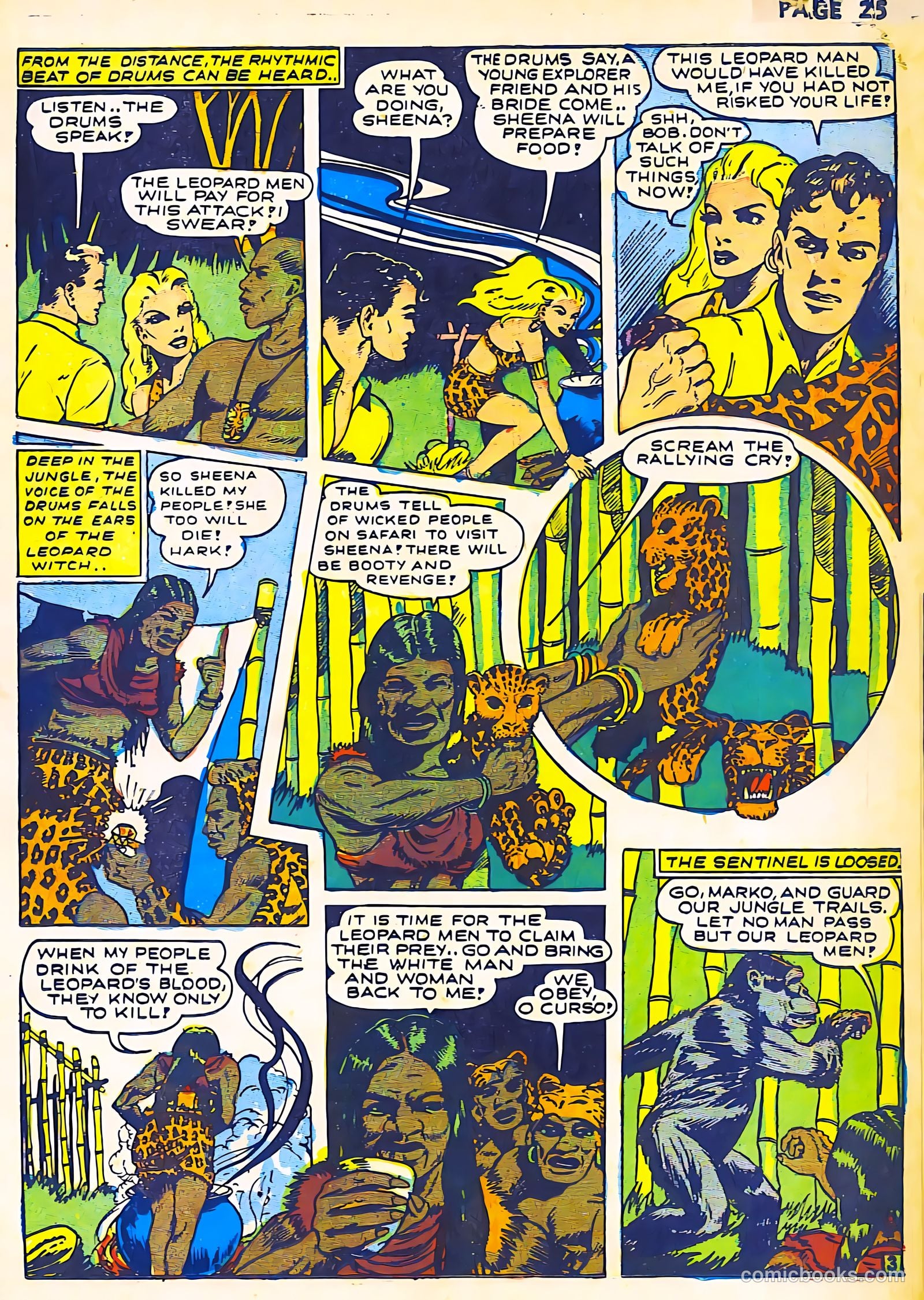 Sheena, Queen of the Jungle #2 (1942) — page 27 of 68