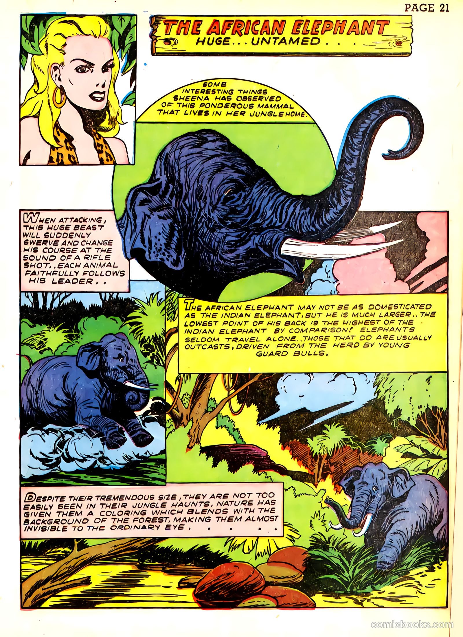 Sheena, Queen of the Jungle #3 (1943) — page 24 of 70
