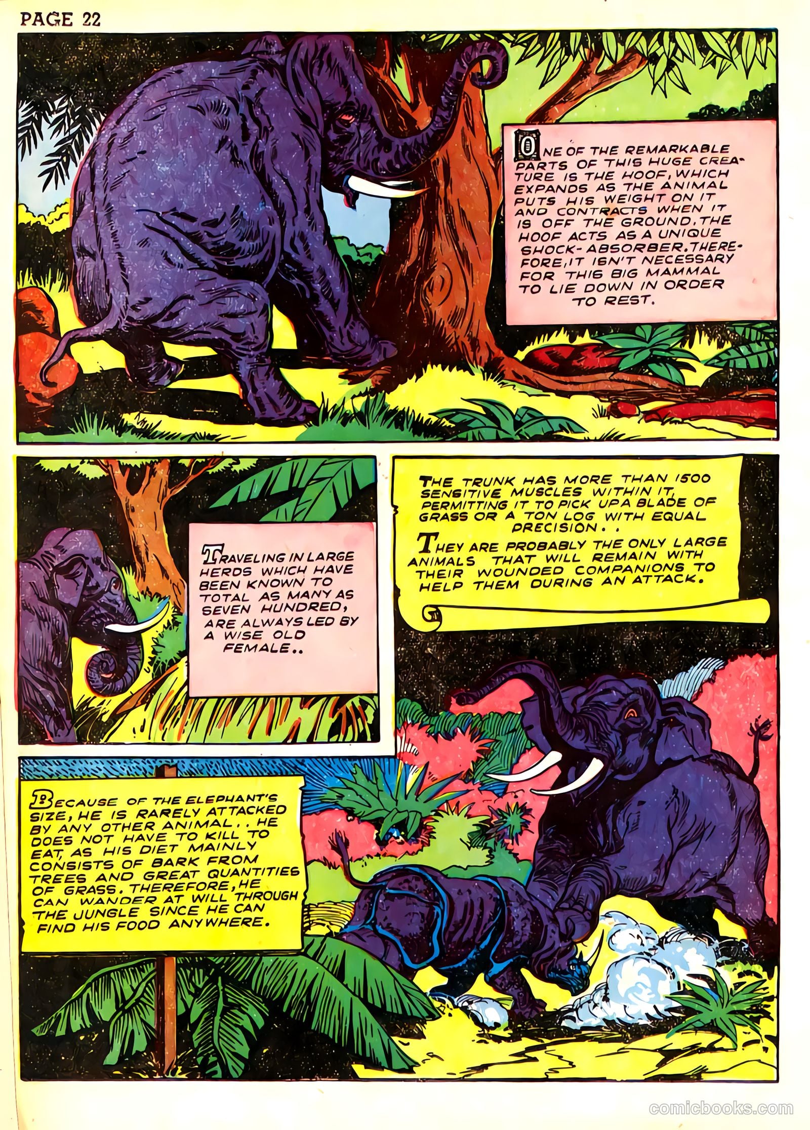 Sheena, Queen of the Jungle #3 (1943) — page 25 of 70
