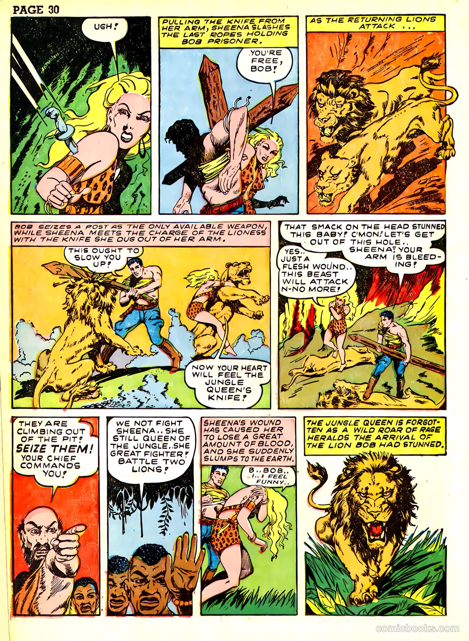 Sheena, Queen of the Jungle #3 (1943) — page 33 of 70