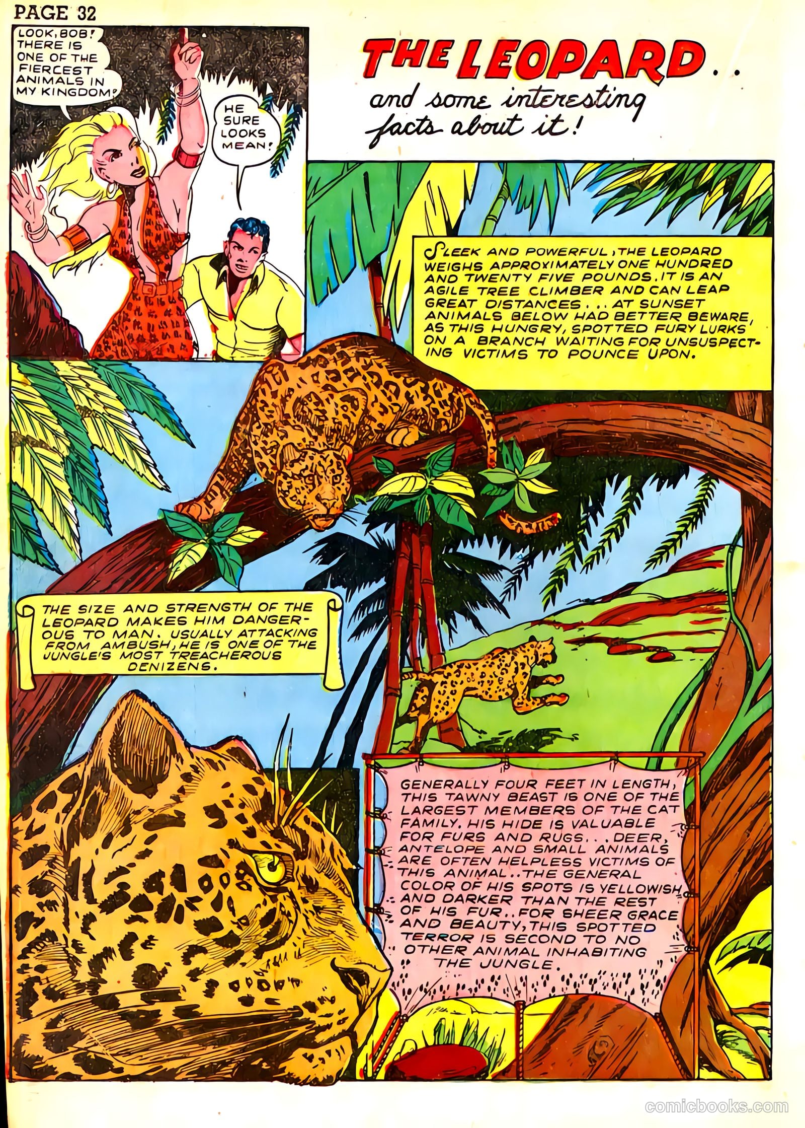 Sheena, Queen of the Jungle #3 (1943) — page 35 of 70