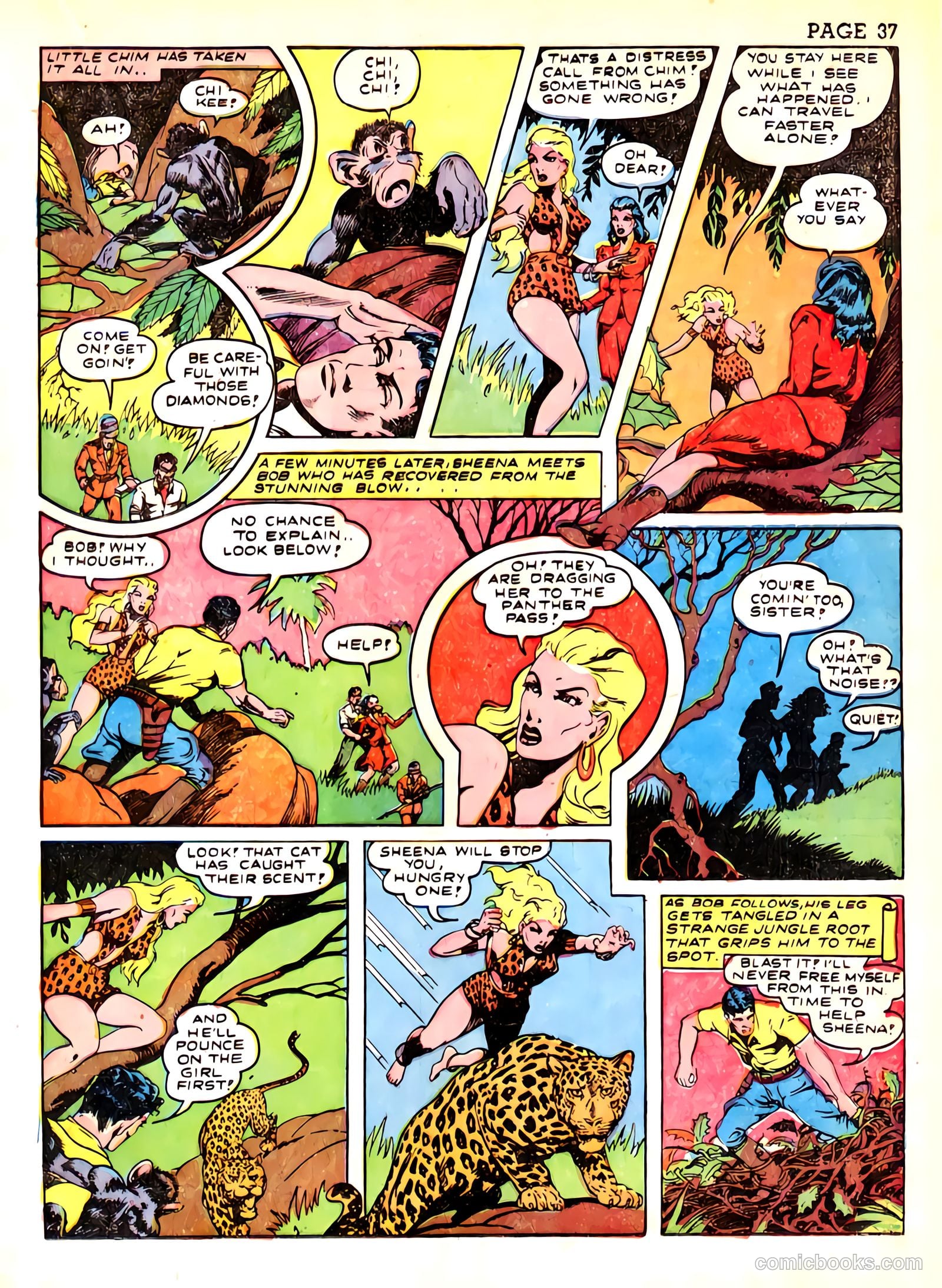 Sheena, Queen of the Jungle #3 (1943) — page 40 of 70