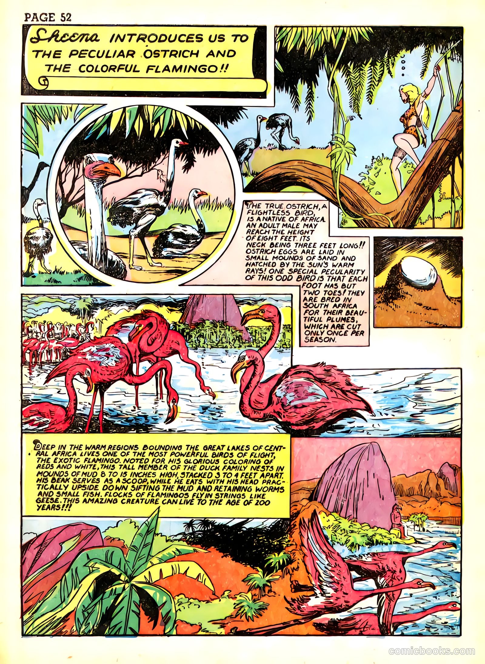 Sheena, Queen of the Jungle #3 (1943) — page 55 of 70
