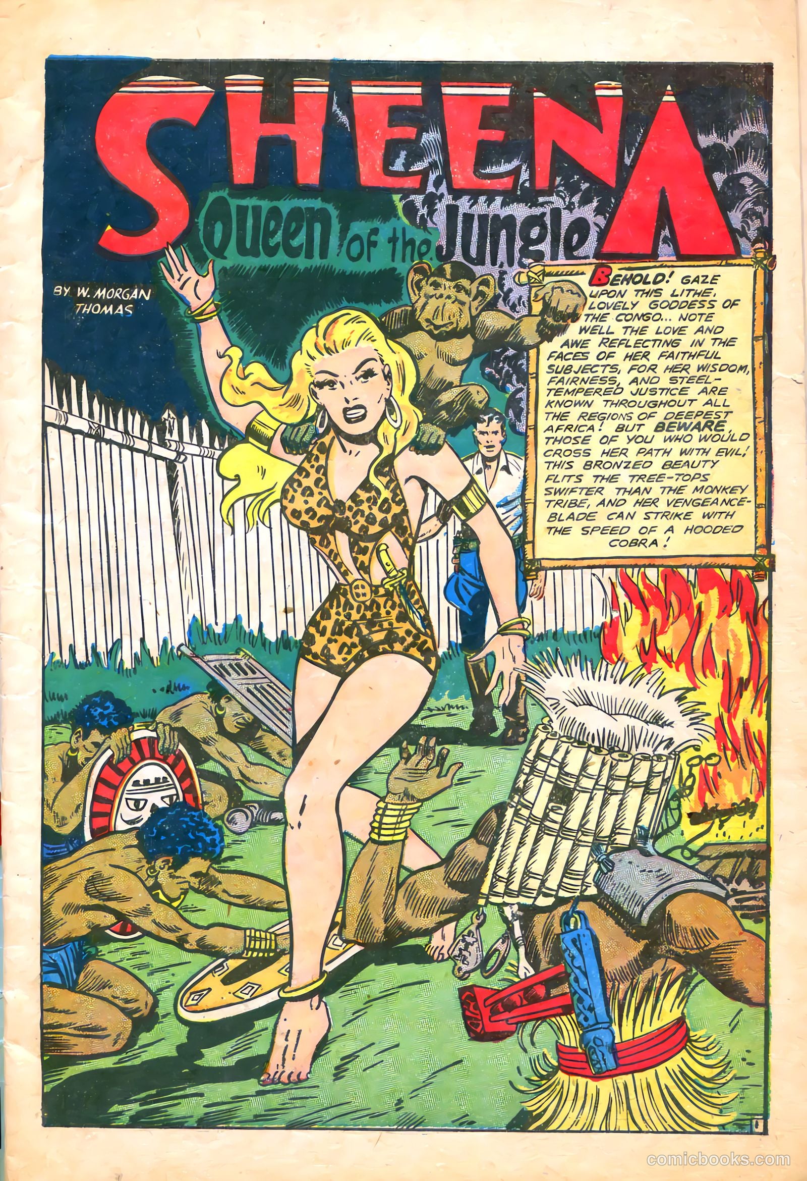 Sheena, Queen of the Jungle #5 (1949) — page 3 of 52