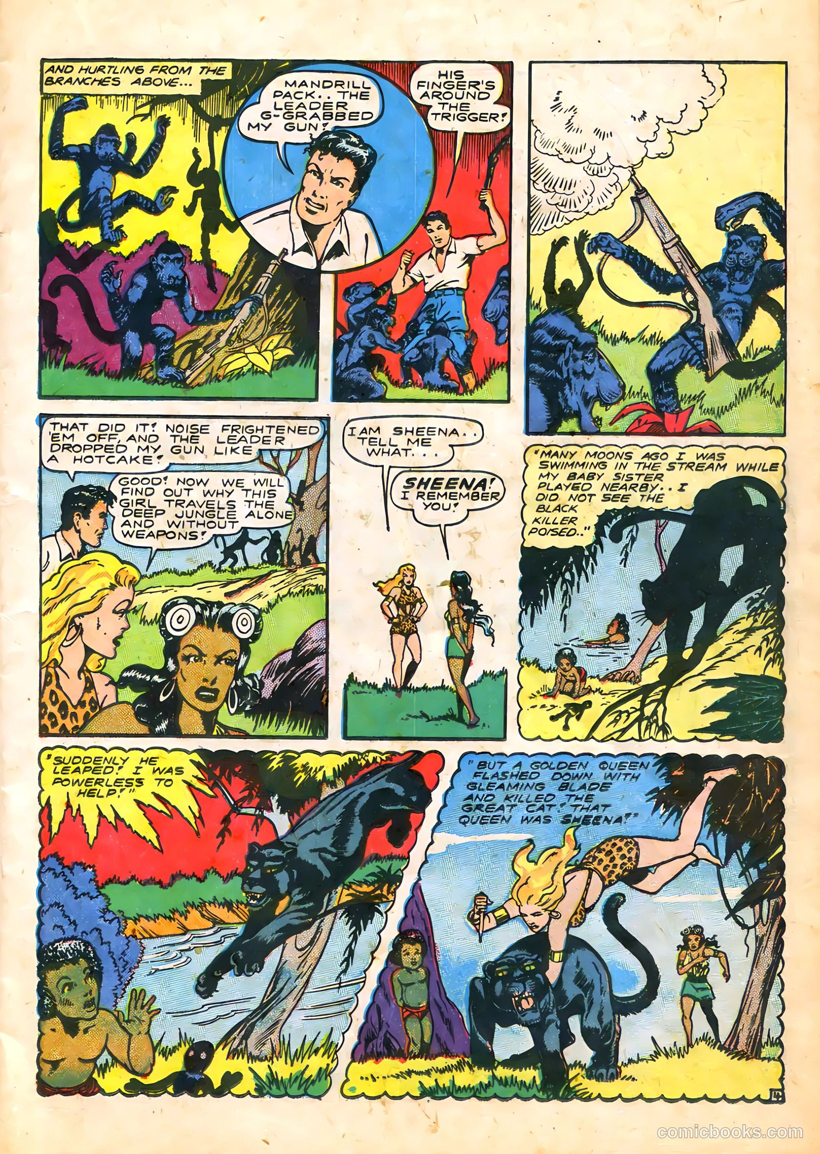 Sheena, Queen of the Jungle #5 (1949) — page 17 of 52