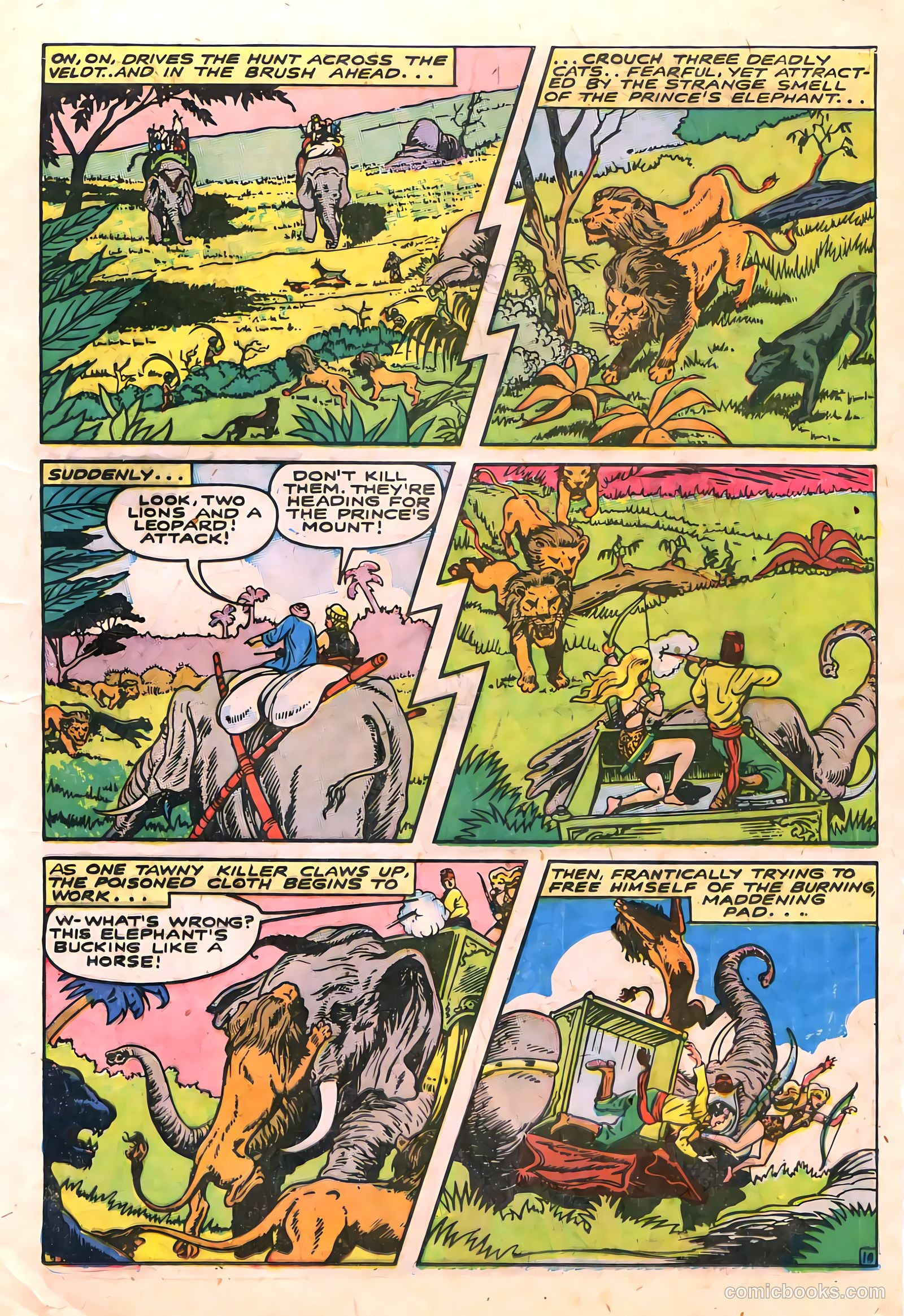 Sheena, Queen of the Jungle #6 (1950) — page 23 of 52