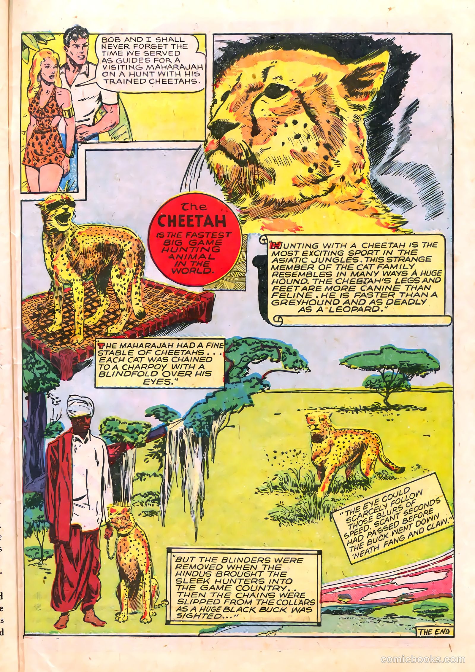 Sheena, Queen of the Jungle #6 (1950) — page 39 of 52