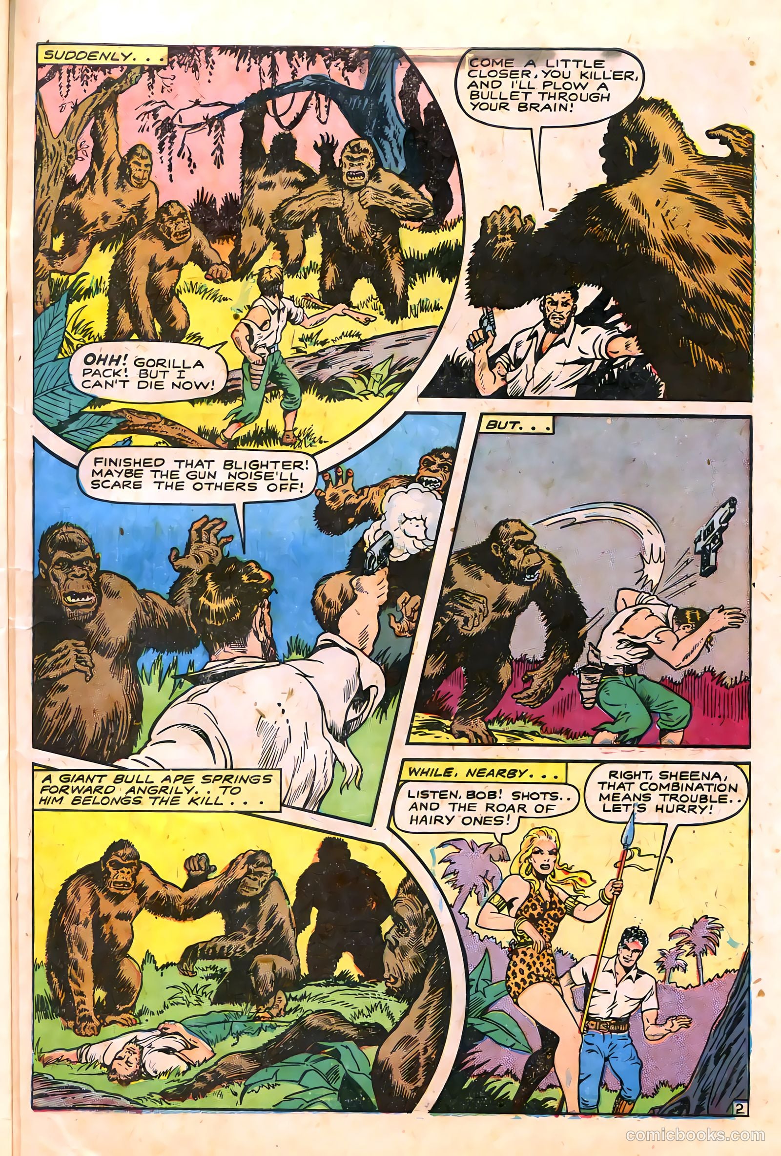 Sheena, Queen of the Jungle #6 (1950) — page 41 of 52