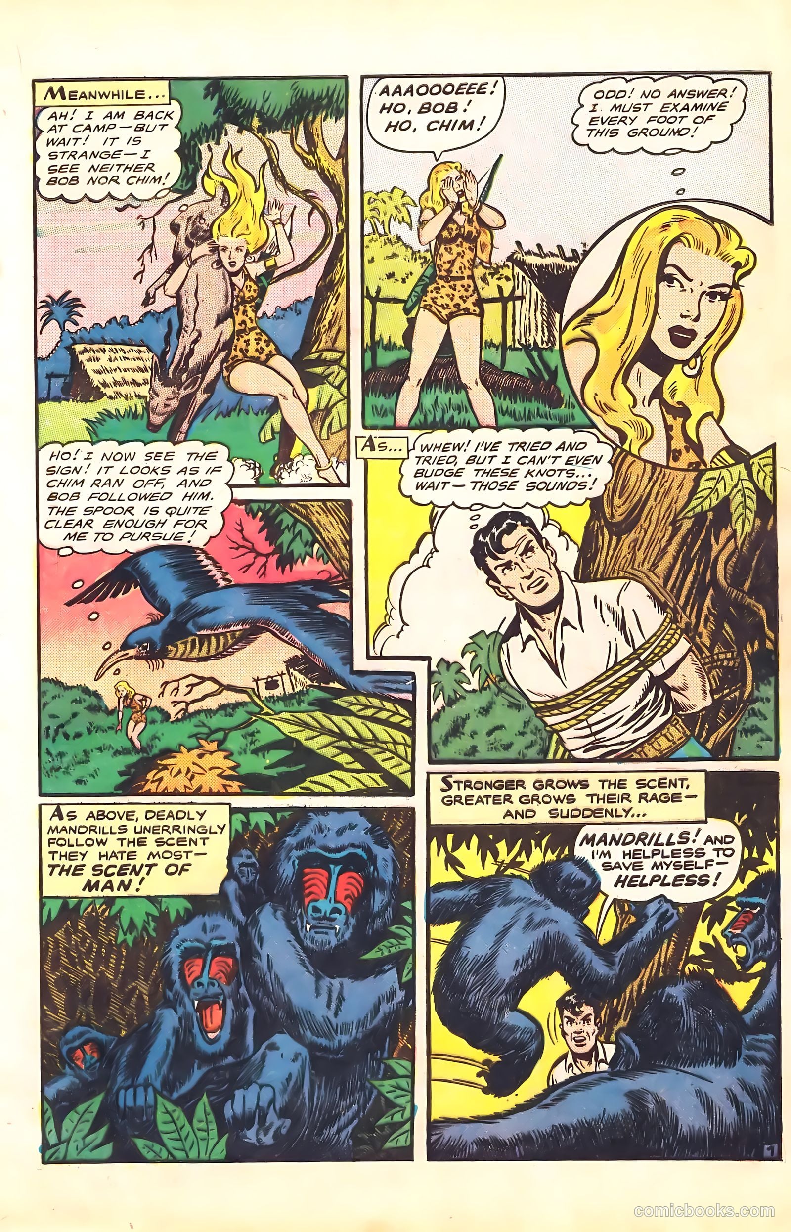 Sheena, Queen of the Jungle #7 (1950) — page 9 of 52