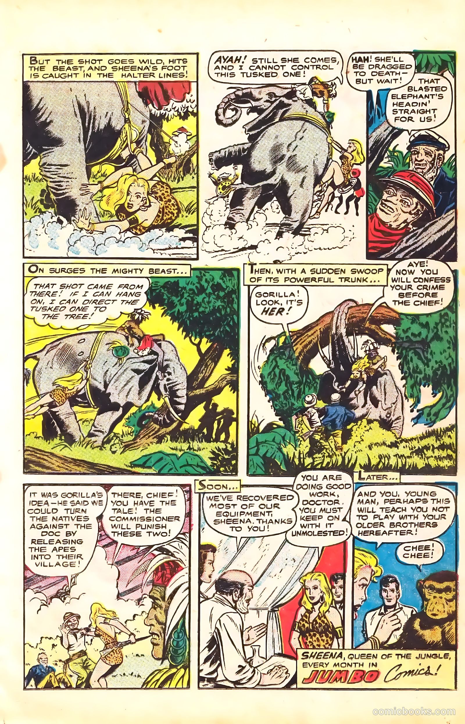 Sheena, Queen of the Jungle #7 (1950) — page 17 of 52