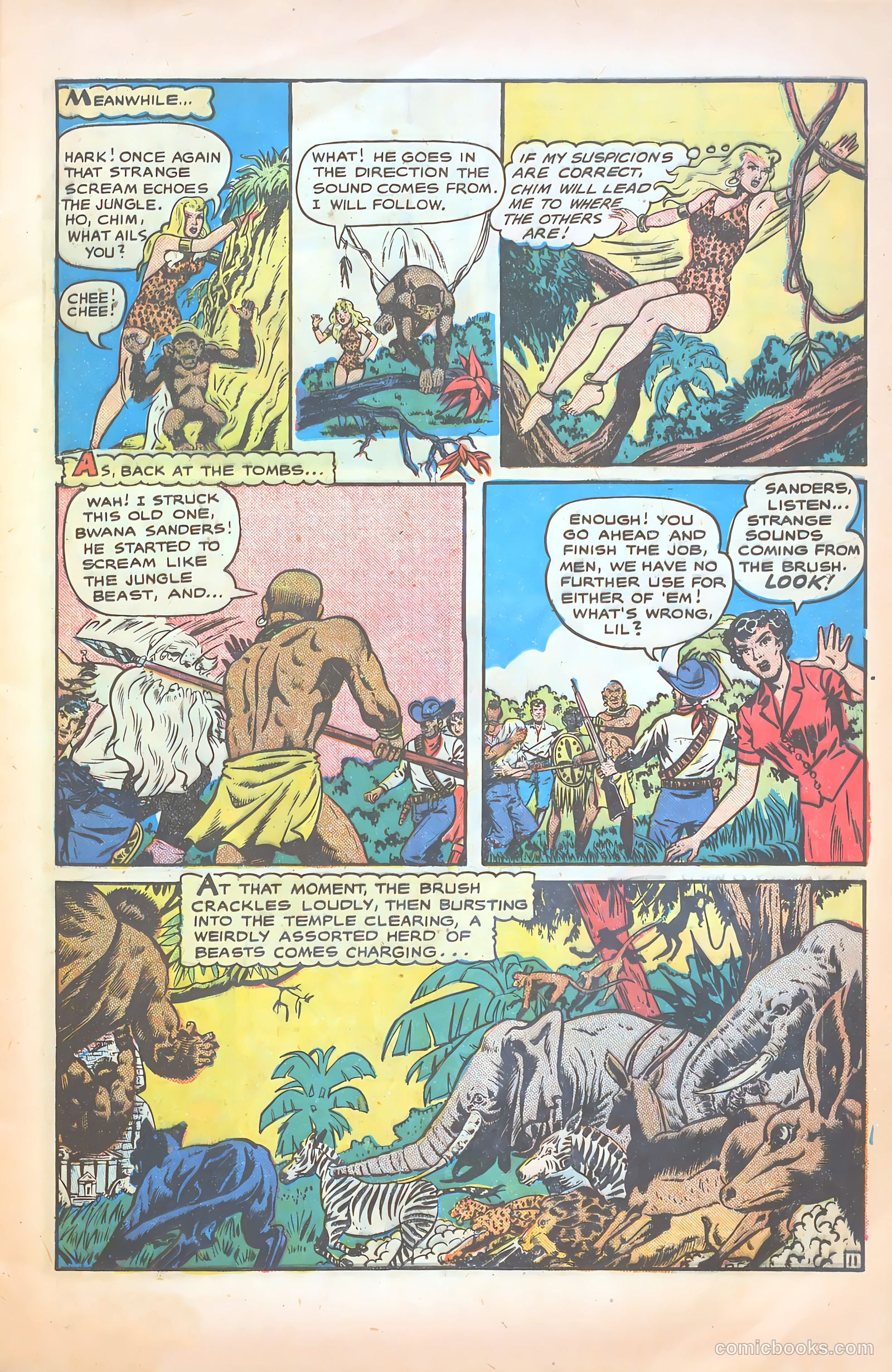 Sheena Queen of the Jungle #8 (2018) — page 13 of 36