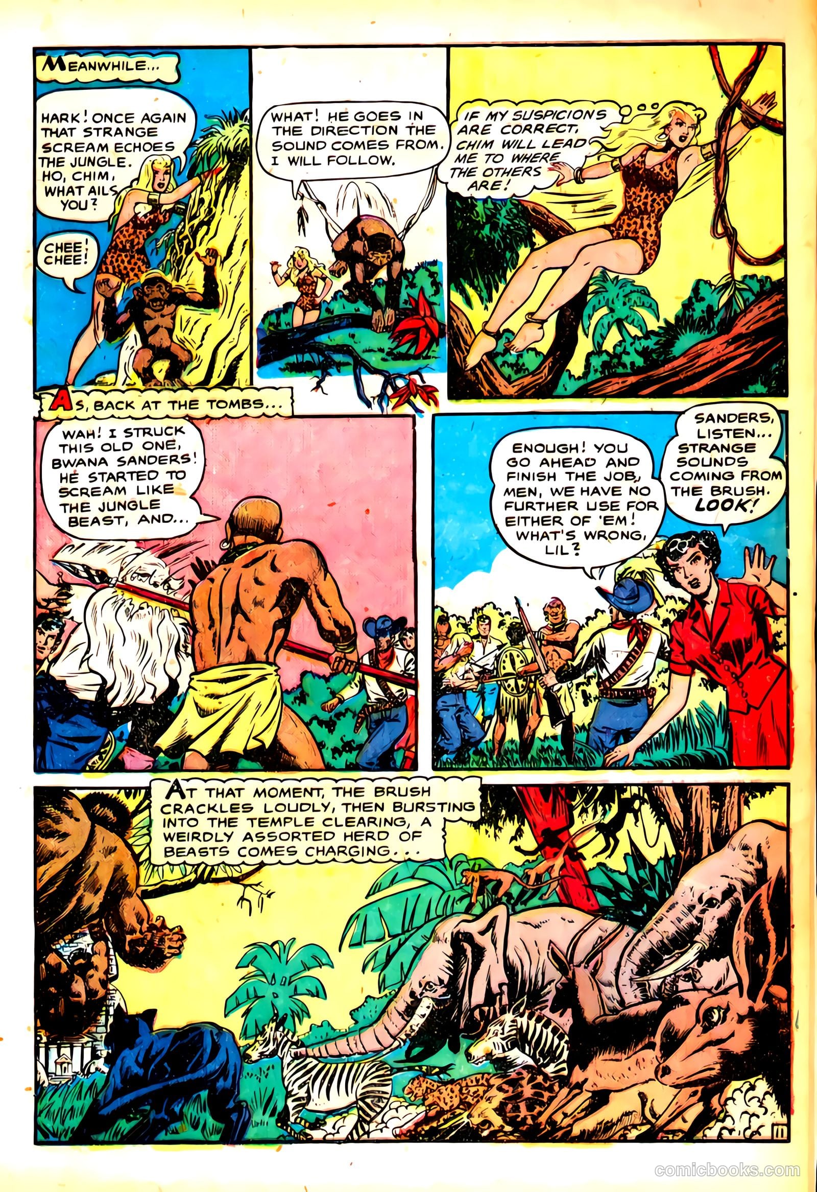 Sheena, Queen of the Jungle #8 (1950) — page 14 of 37