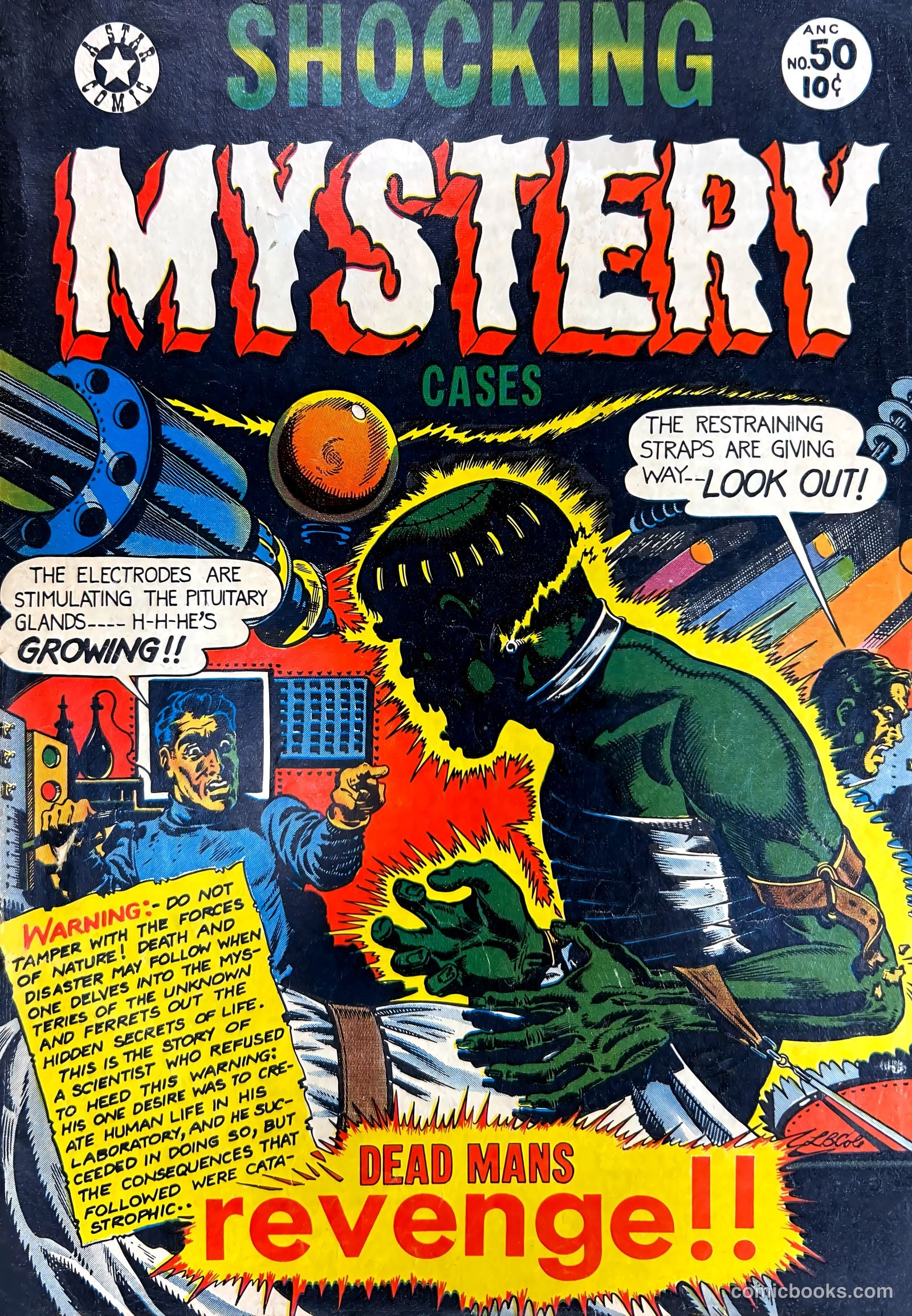 Shocking Mystery Cases #50