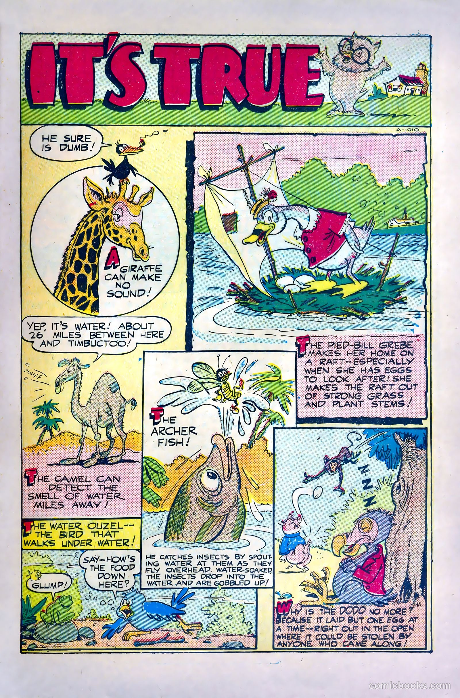 Sniffy the Pup #9 (1950) — page 23 of 36