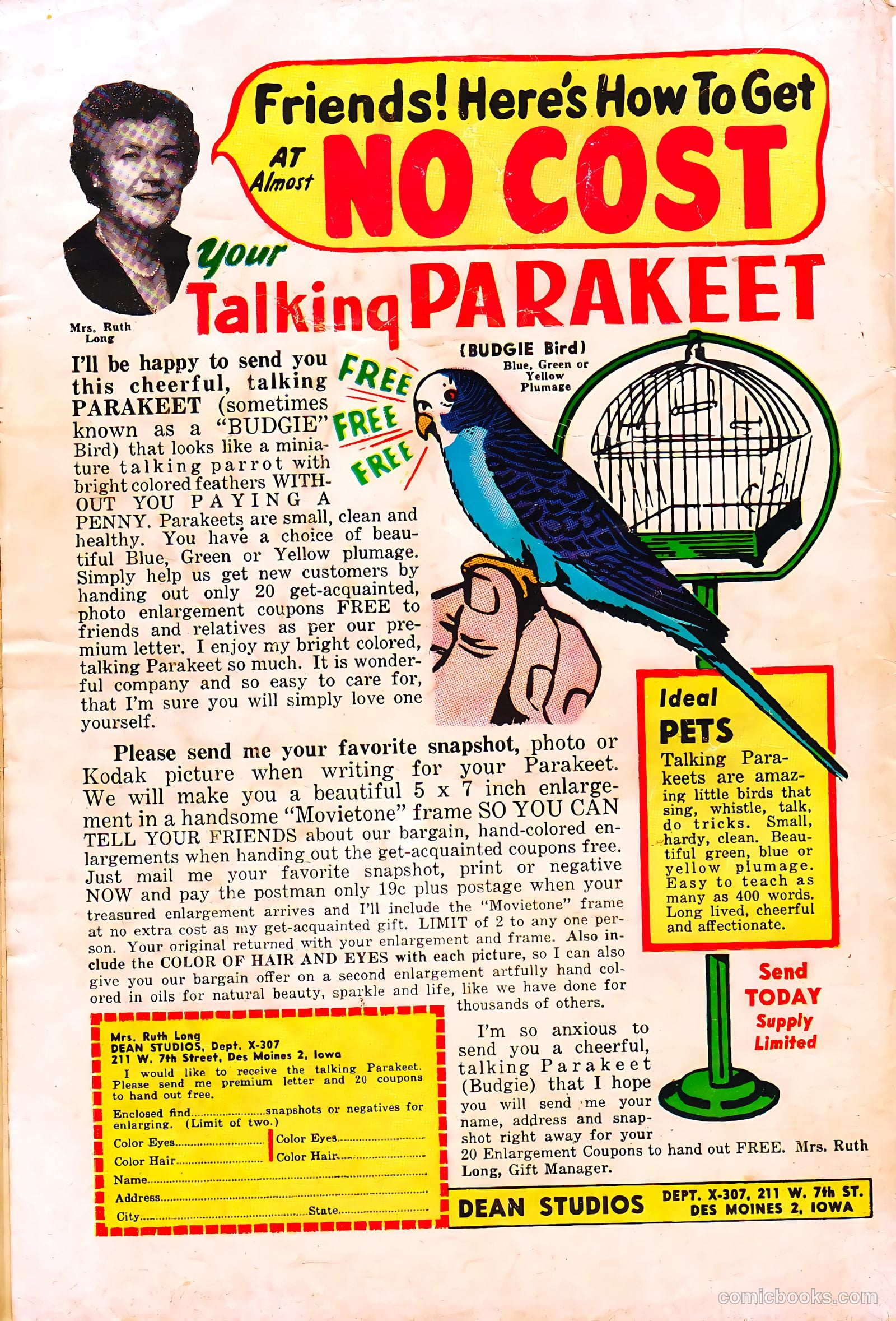 Soldier Comics #11 (1953) — page 36 of 36