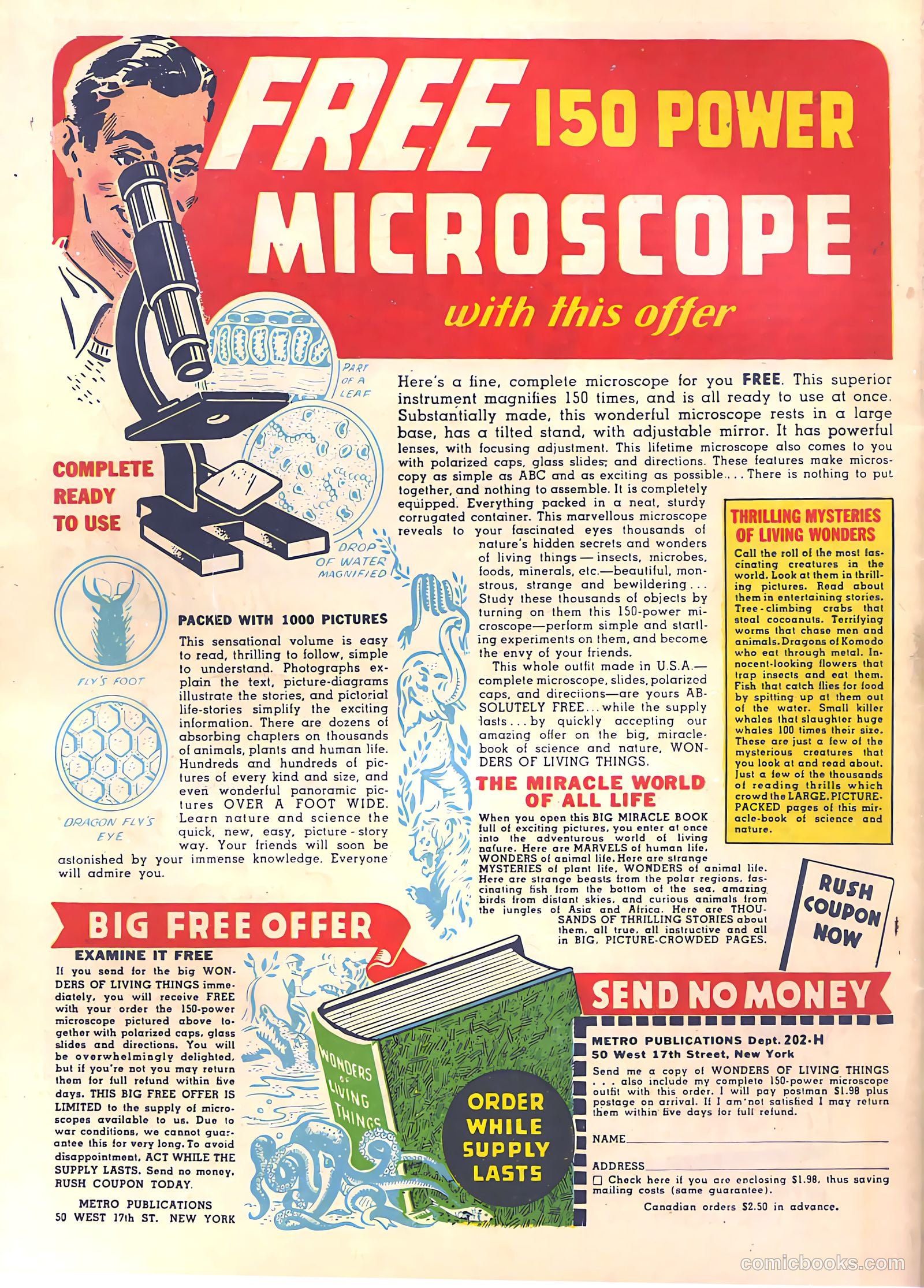 Sparkle Comics #23 (1952) — page 53 of 53