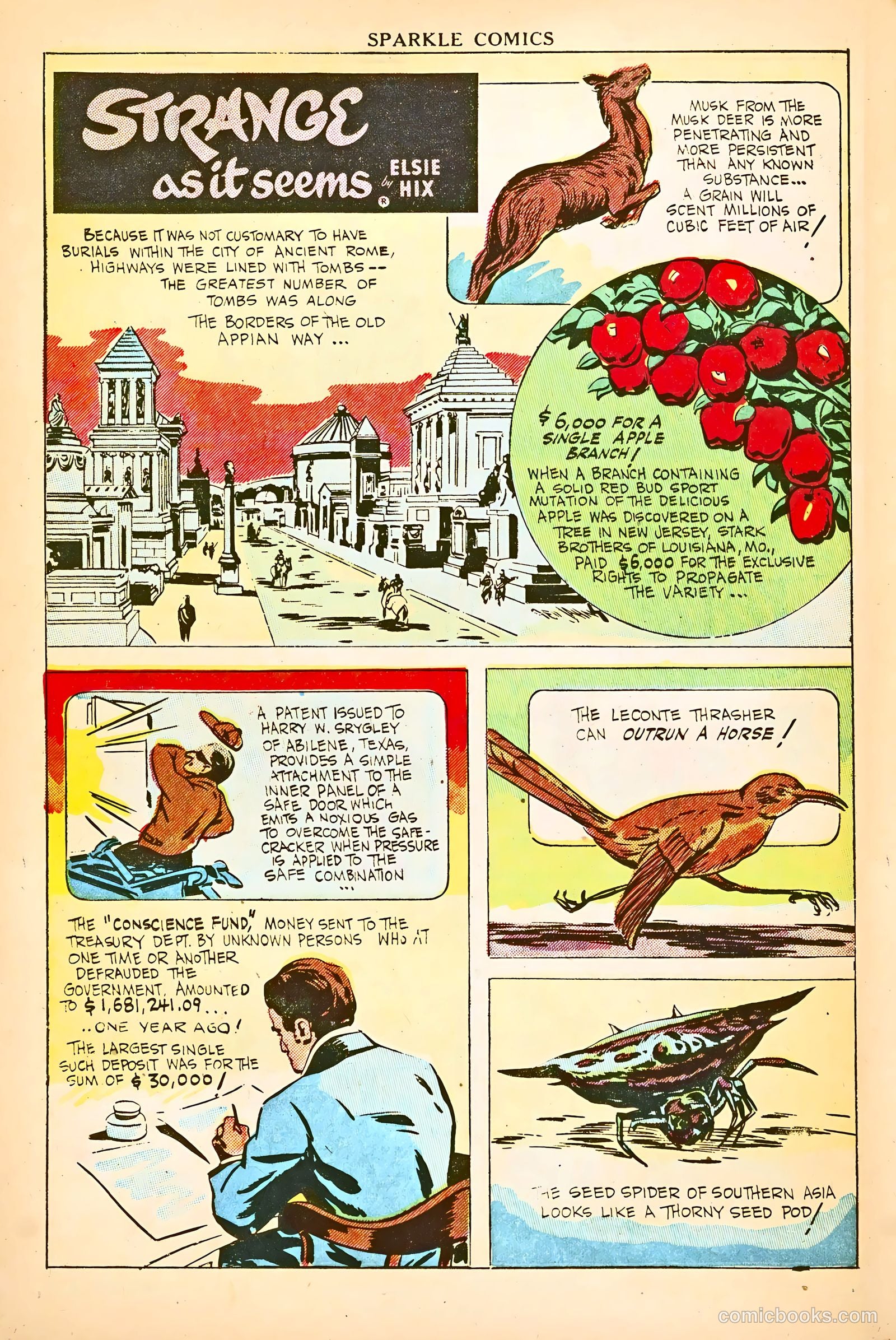 Sparkle Comics #31 (1953) — page 11 of 17