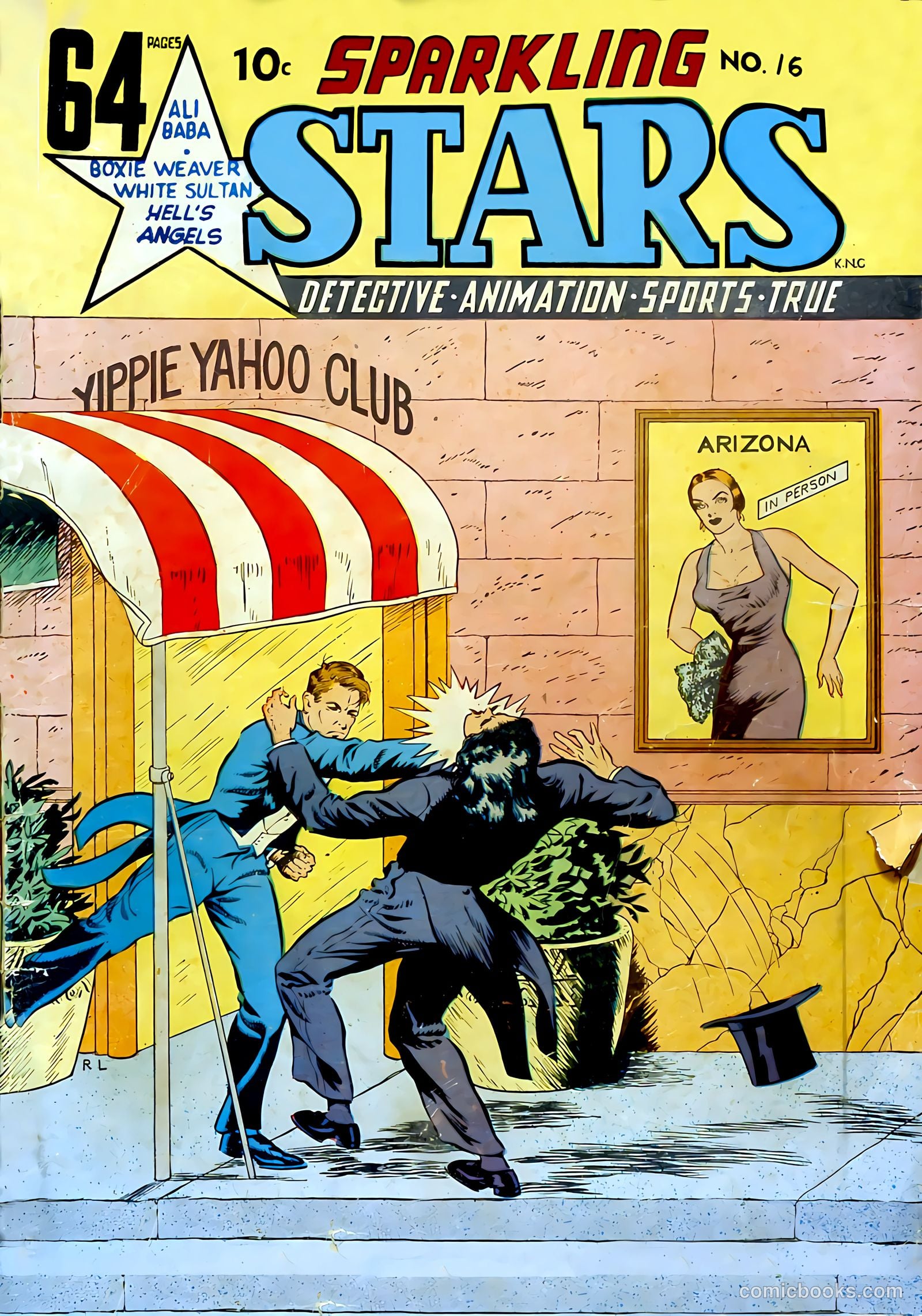 Sparkling Stars #16