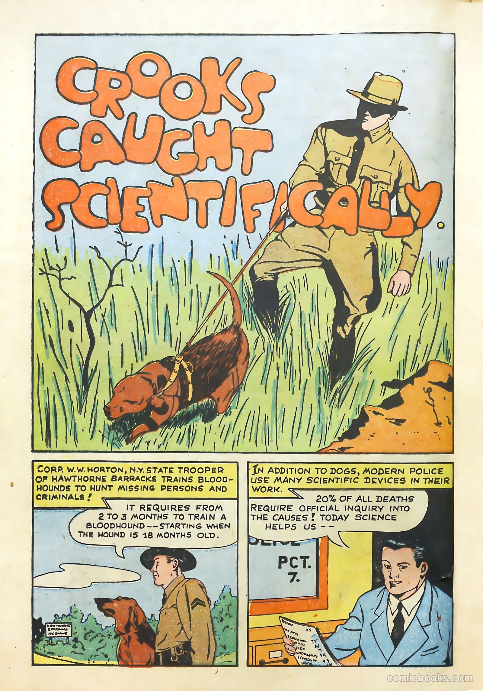 Sparkling Stars #16 (1946) — page 44 of 68