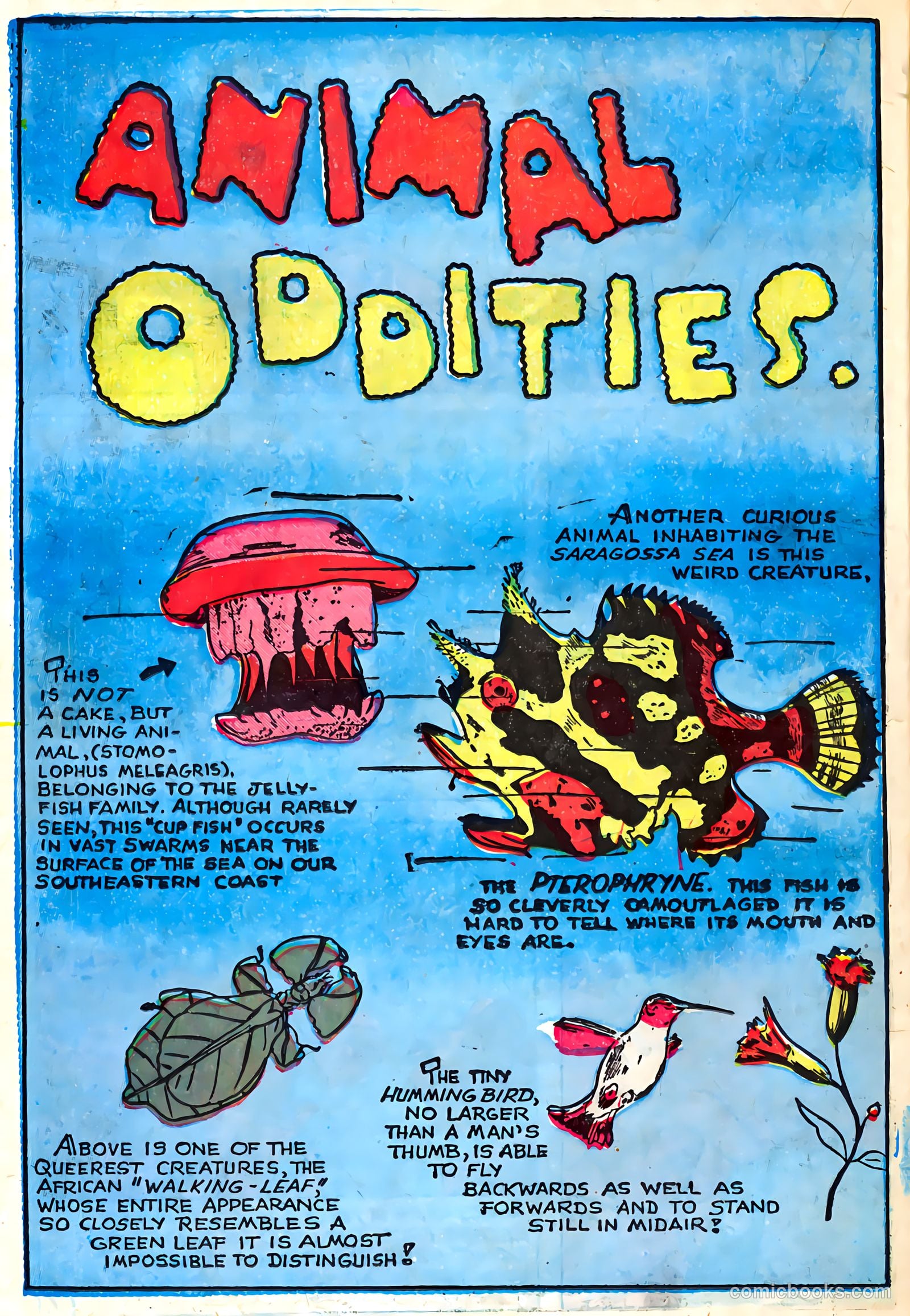 Sparkling Stars #19 (1946) — page 42 of 68