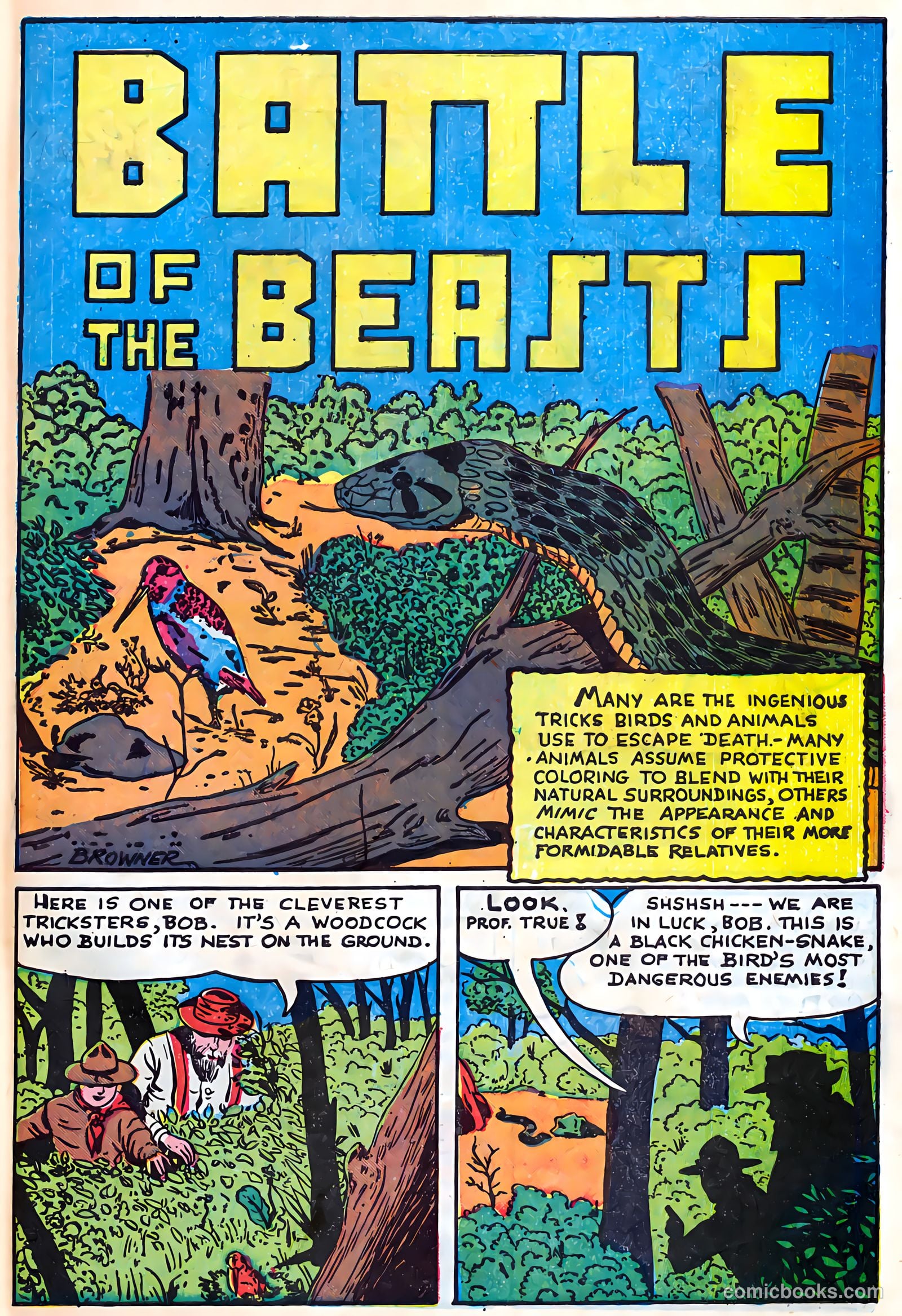 Sparkling Stars #19 (1946) — page 53 of 68