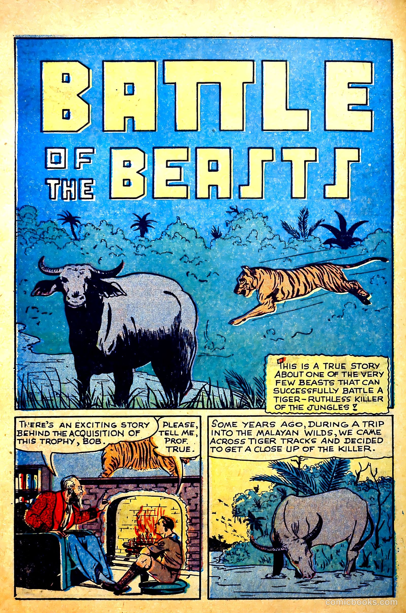 Sparkling Stars #20 (1946) — page 54 of 68