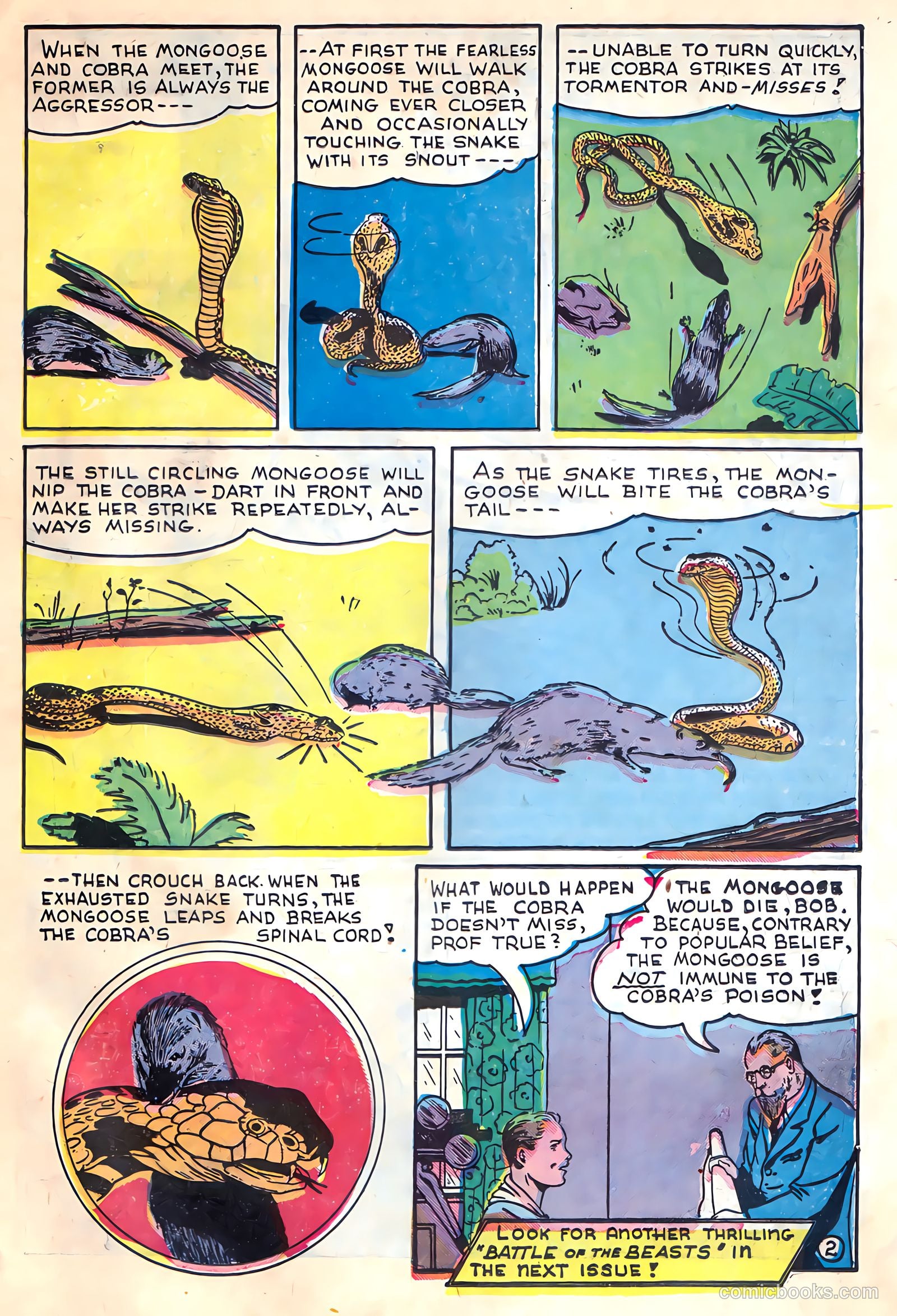 Sparkling Stars #21 (1947) — page 20 of 69