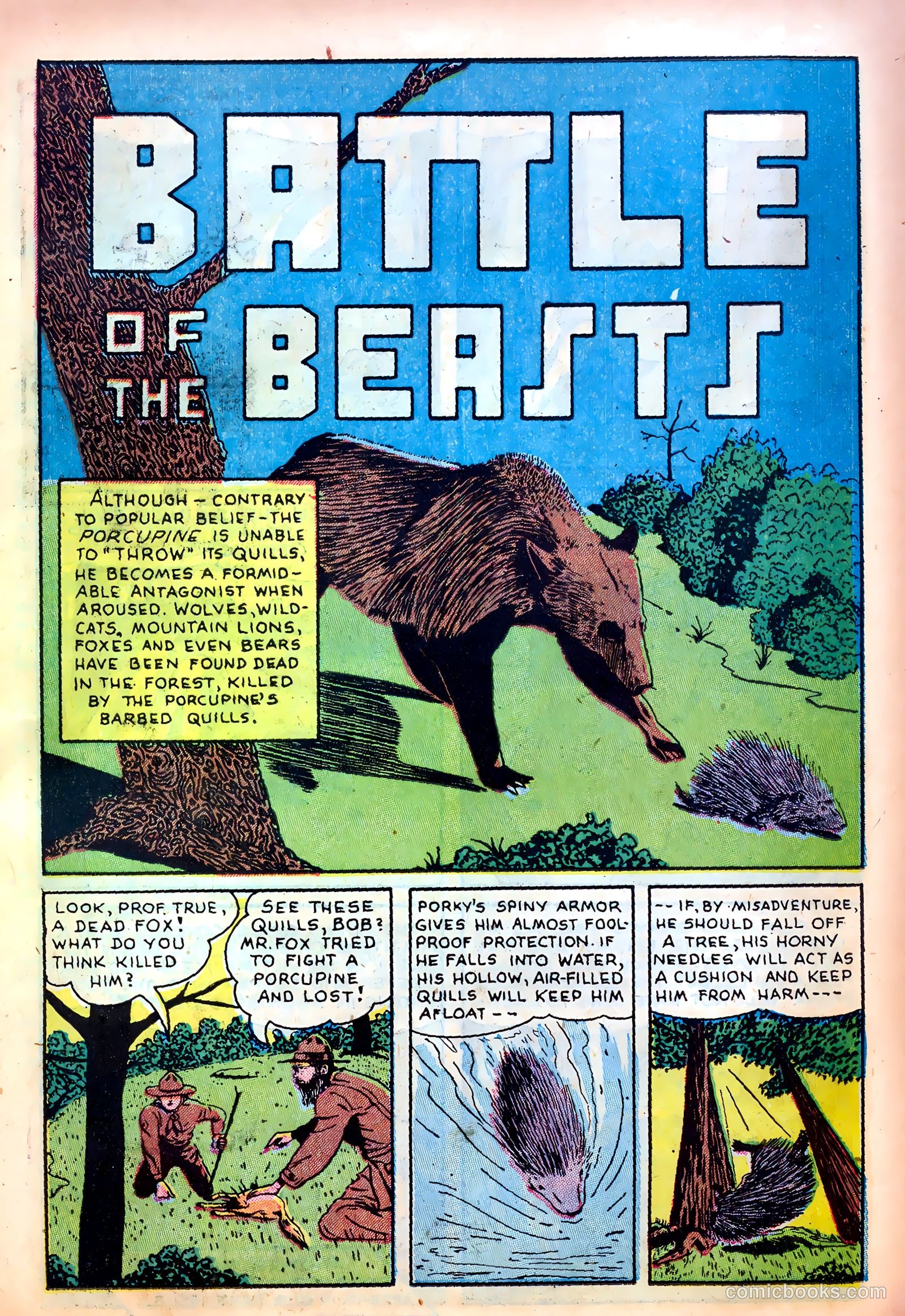Sparkling Stars #25 (1947) — page 29 of 68