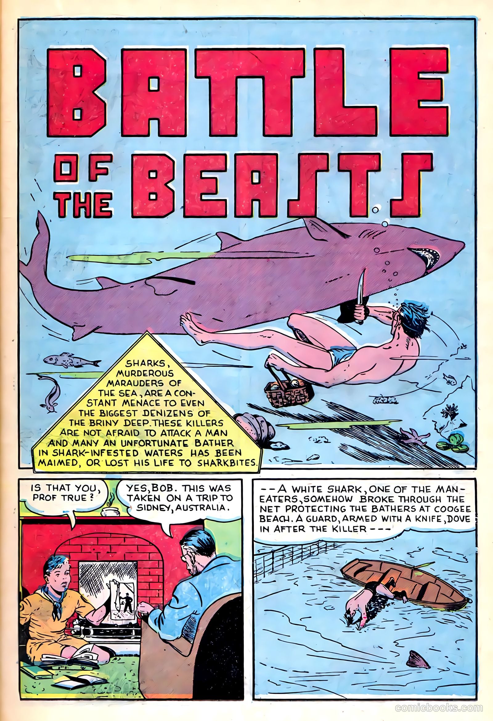 Sparkling Stars #26 (1947) — page 29 of 68